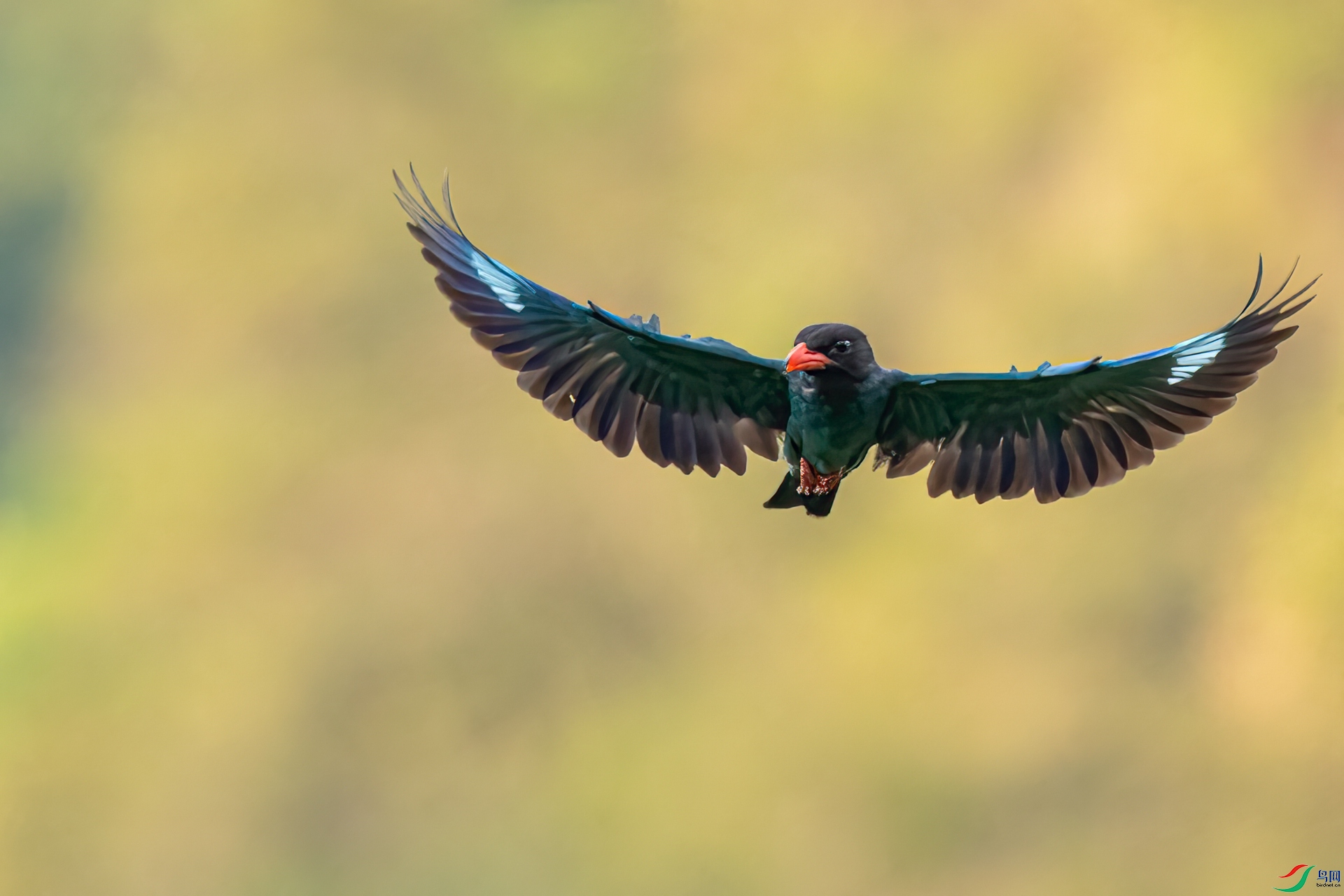 B86I7248 _����.jpg