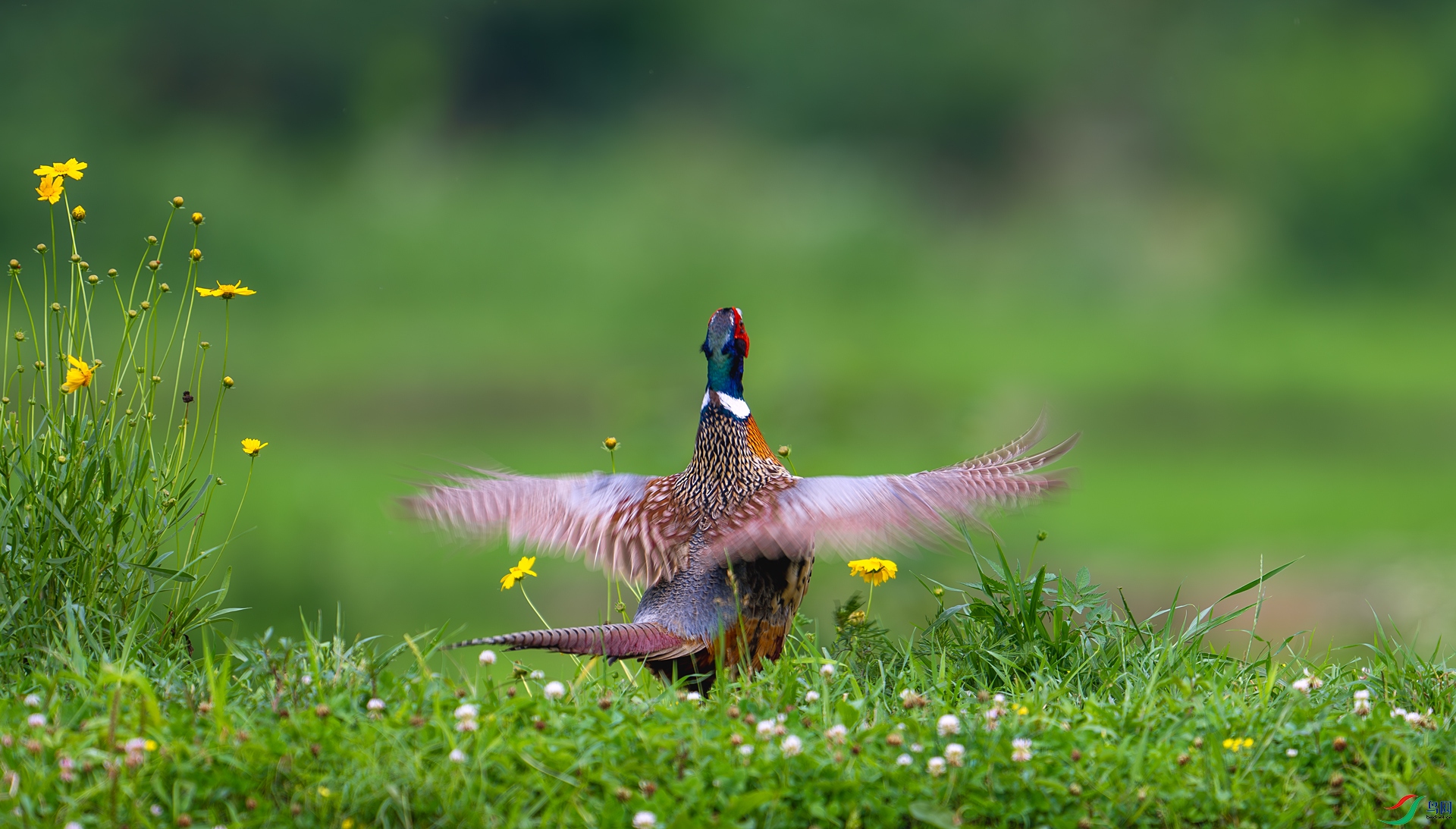 _DSC6580==1w.jpg