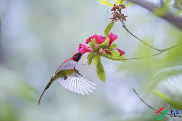 DSC_4919a.jpg