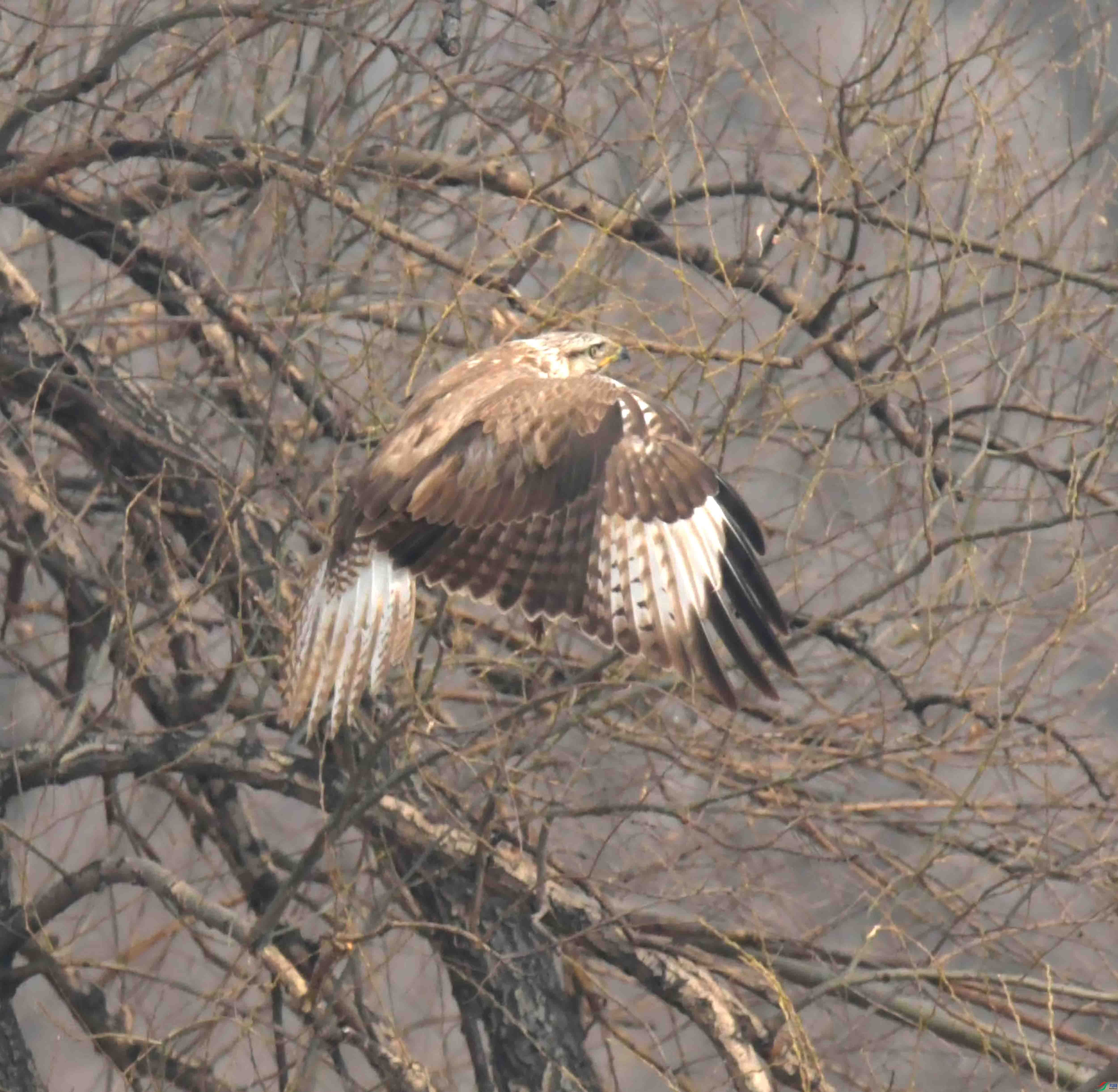 DSC_2316.JPG