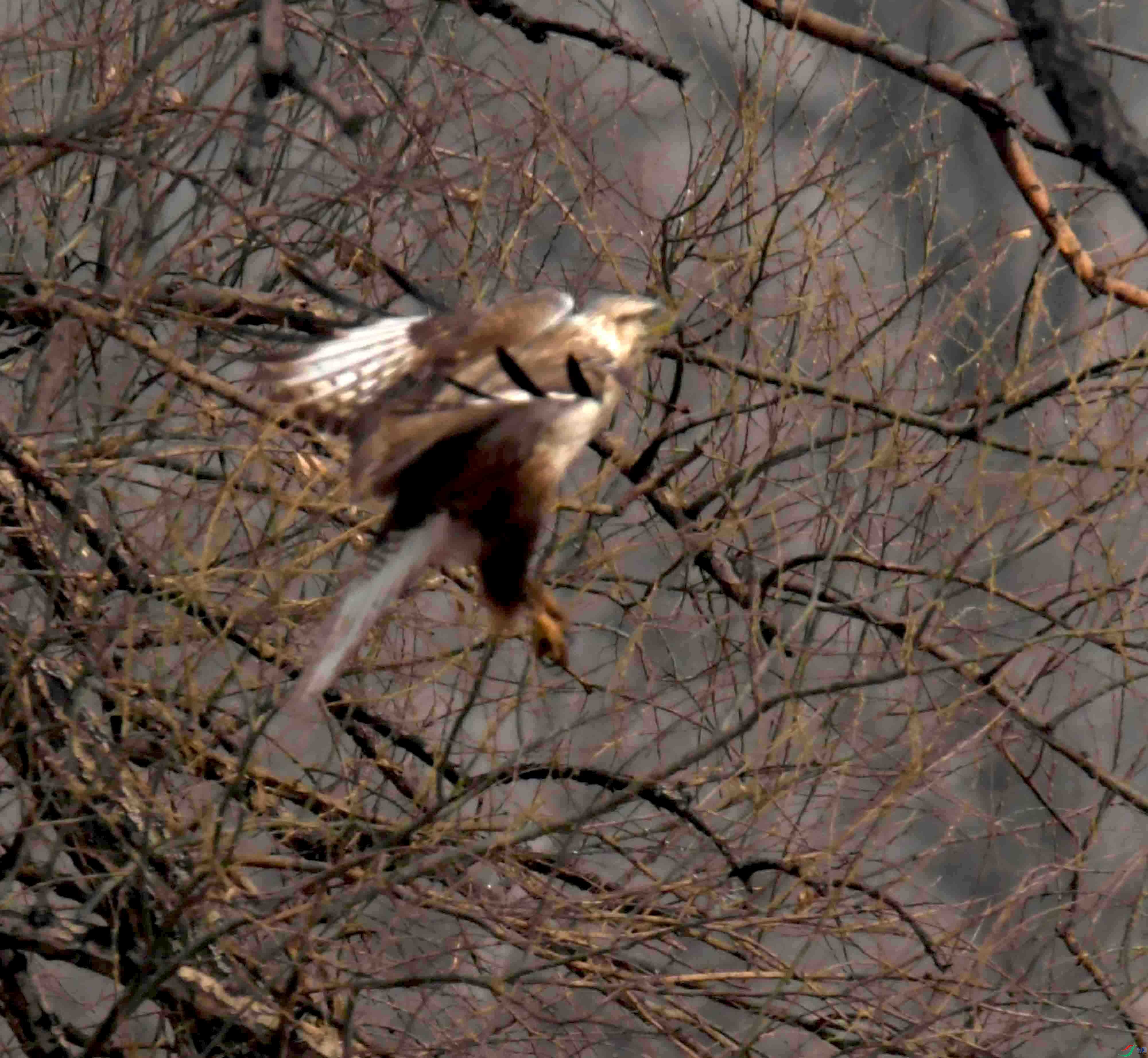 DSC_2317.JPG