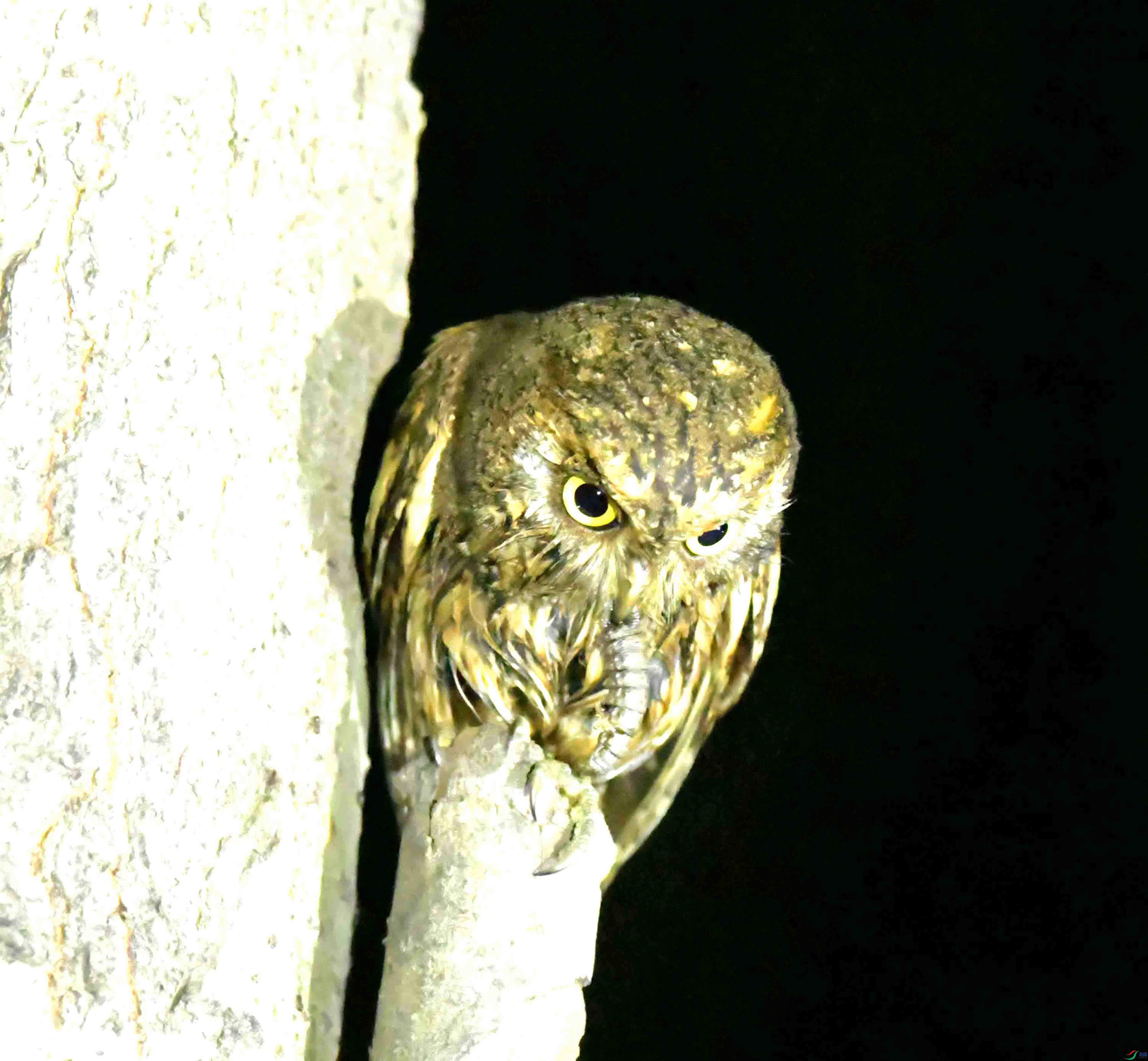 DSC_0951.JPG