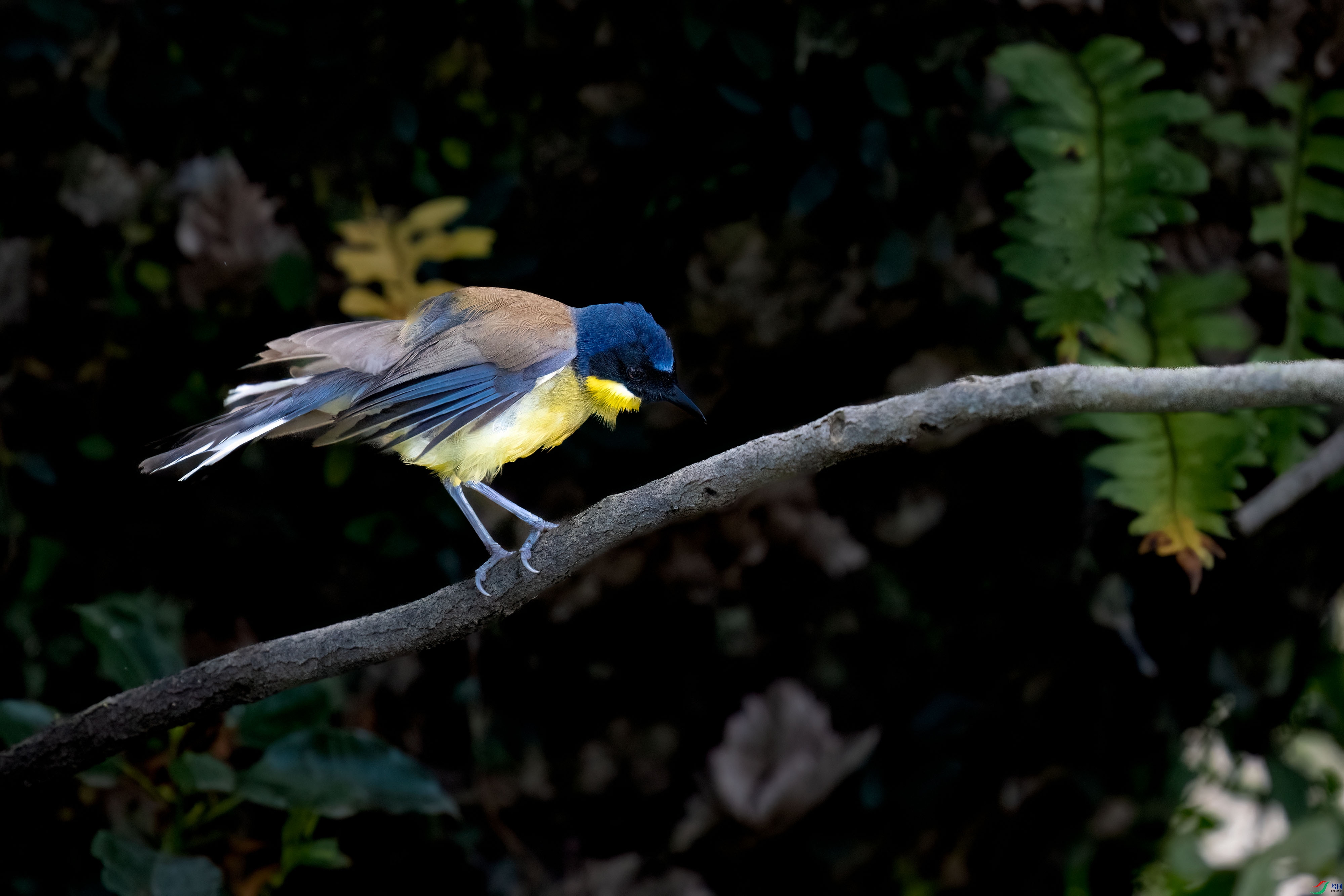 _DSC3026.jpg