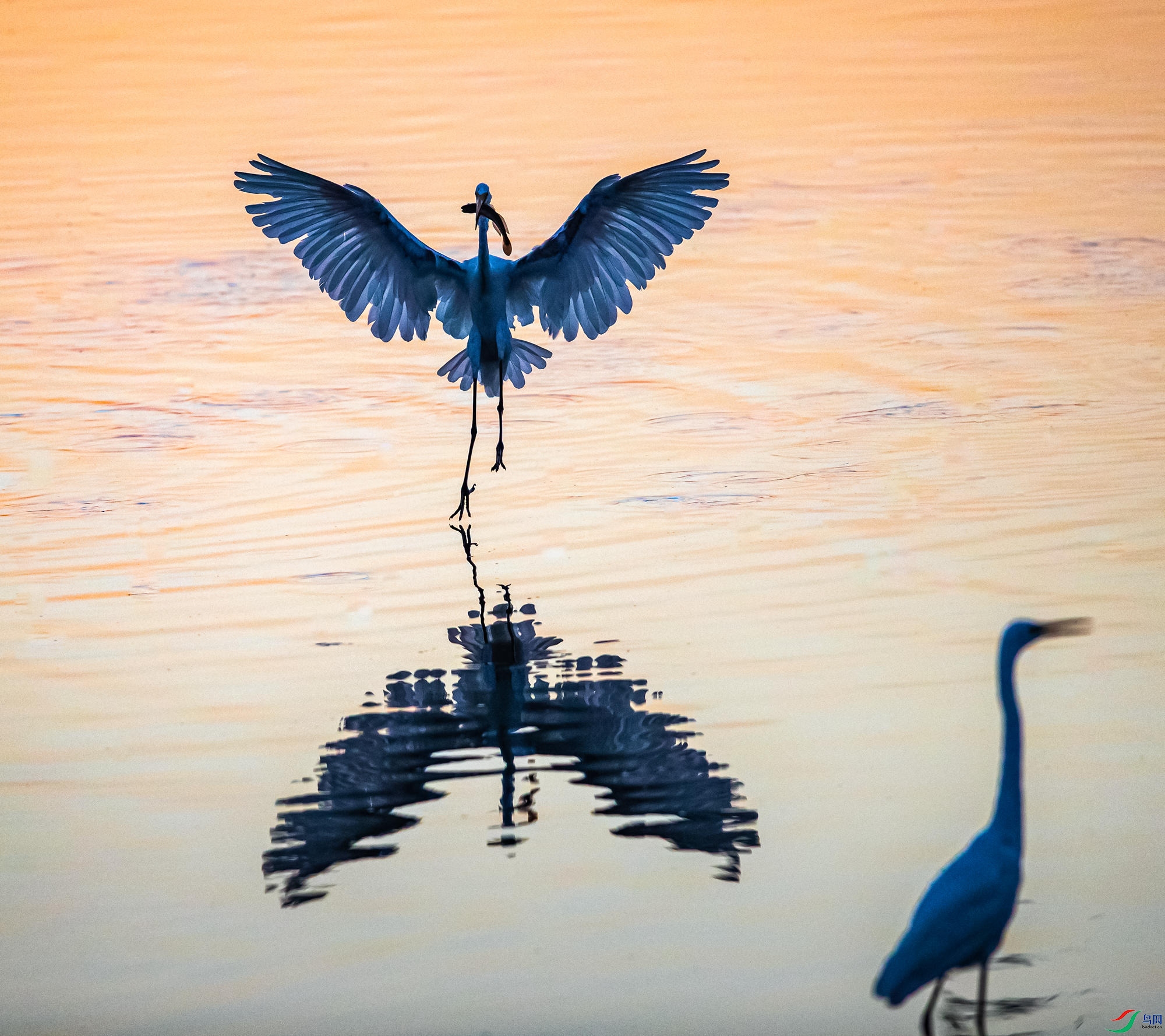 _T5I3925 ����_����.jpg