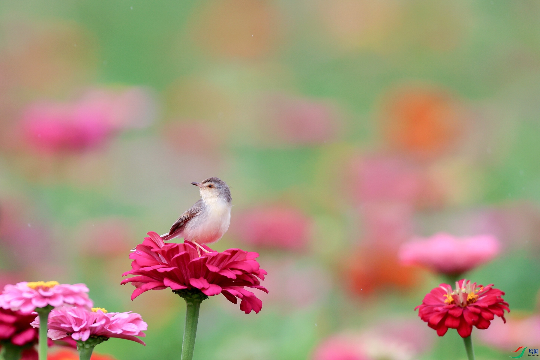 1M6A7197 ����_����.jpg