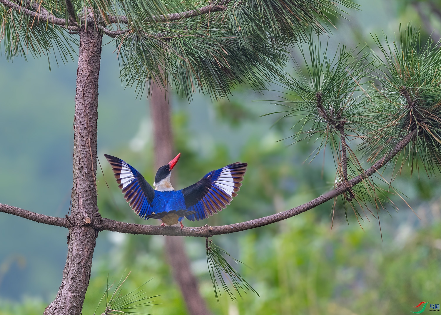DSC_0210-2.jpg