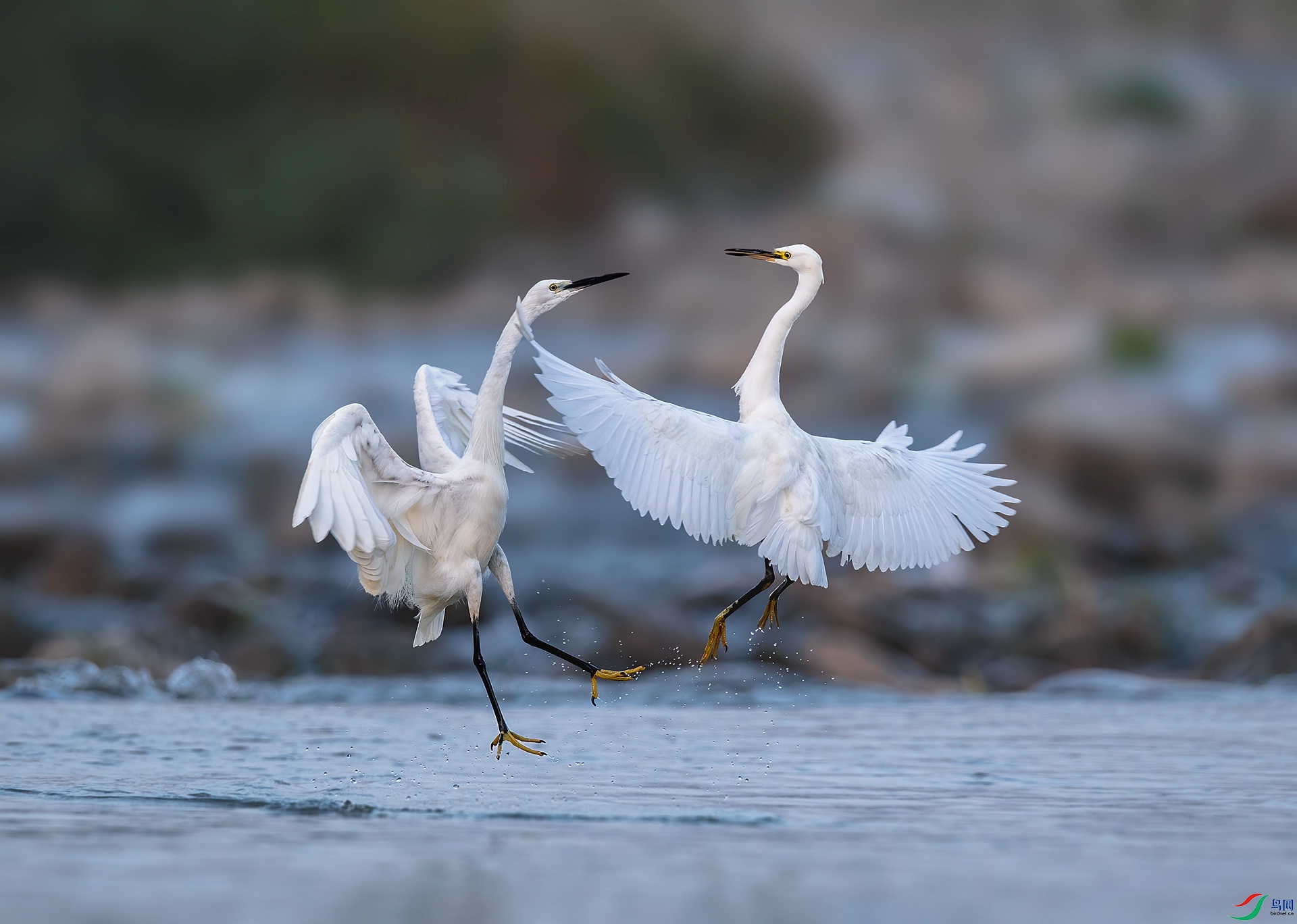 DSC_8936 ����_����.jpg