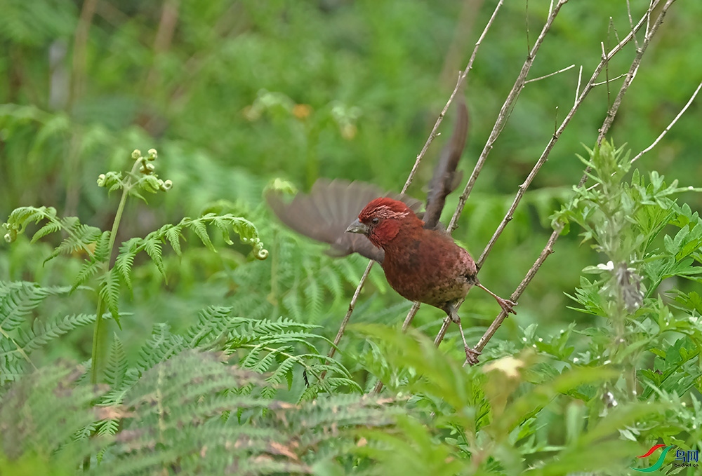 DSCF7059.1.jpg