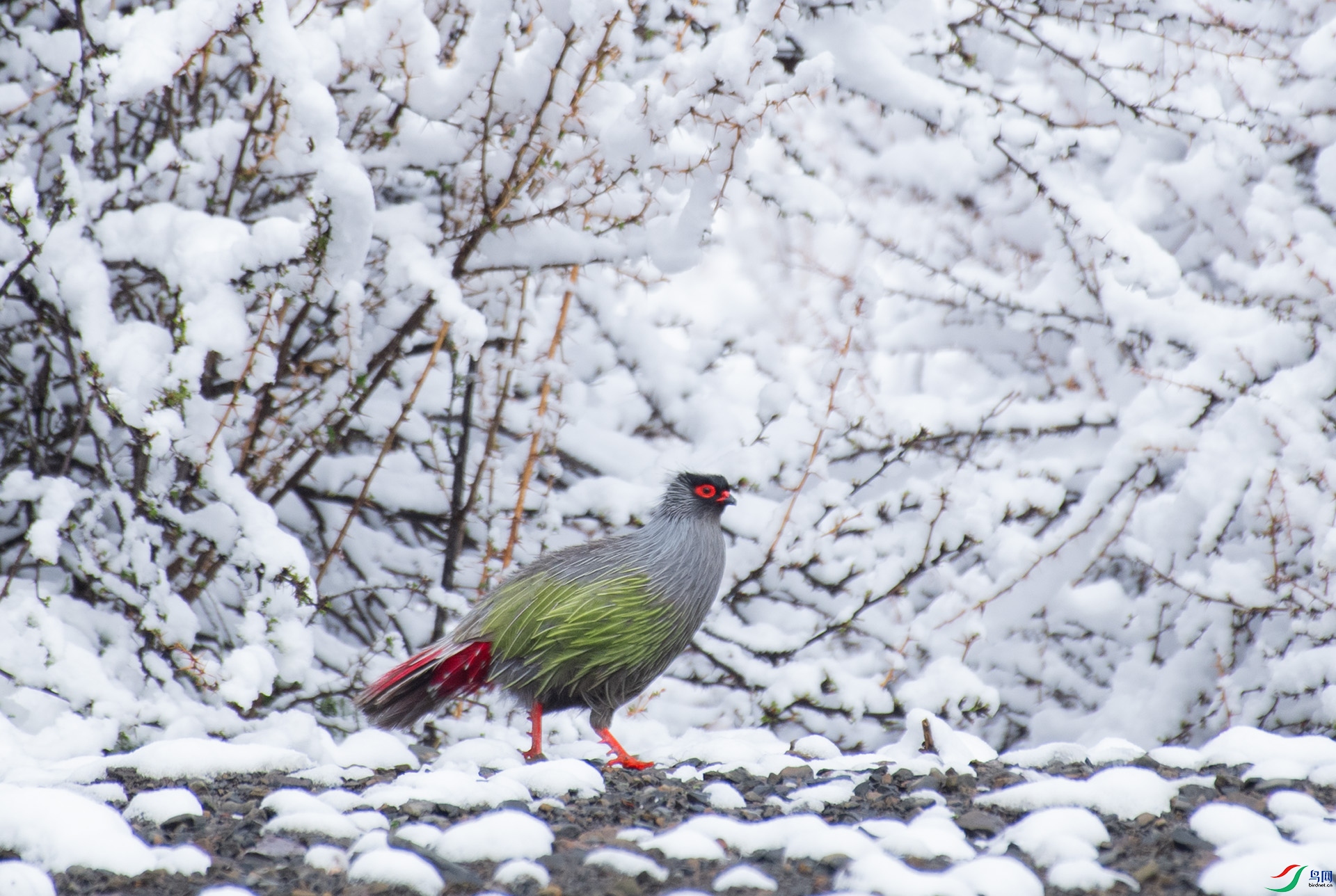 DSC_7837 -1.jpg