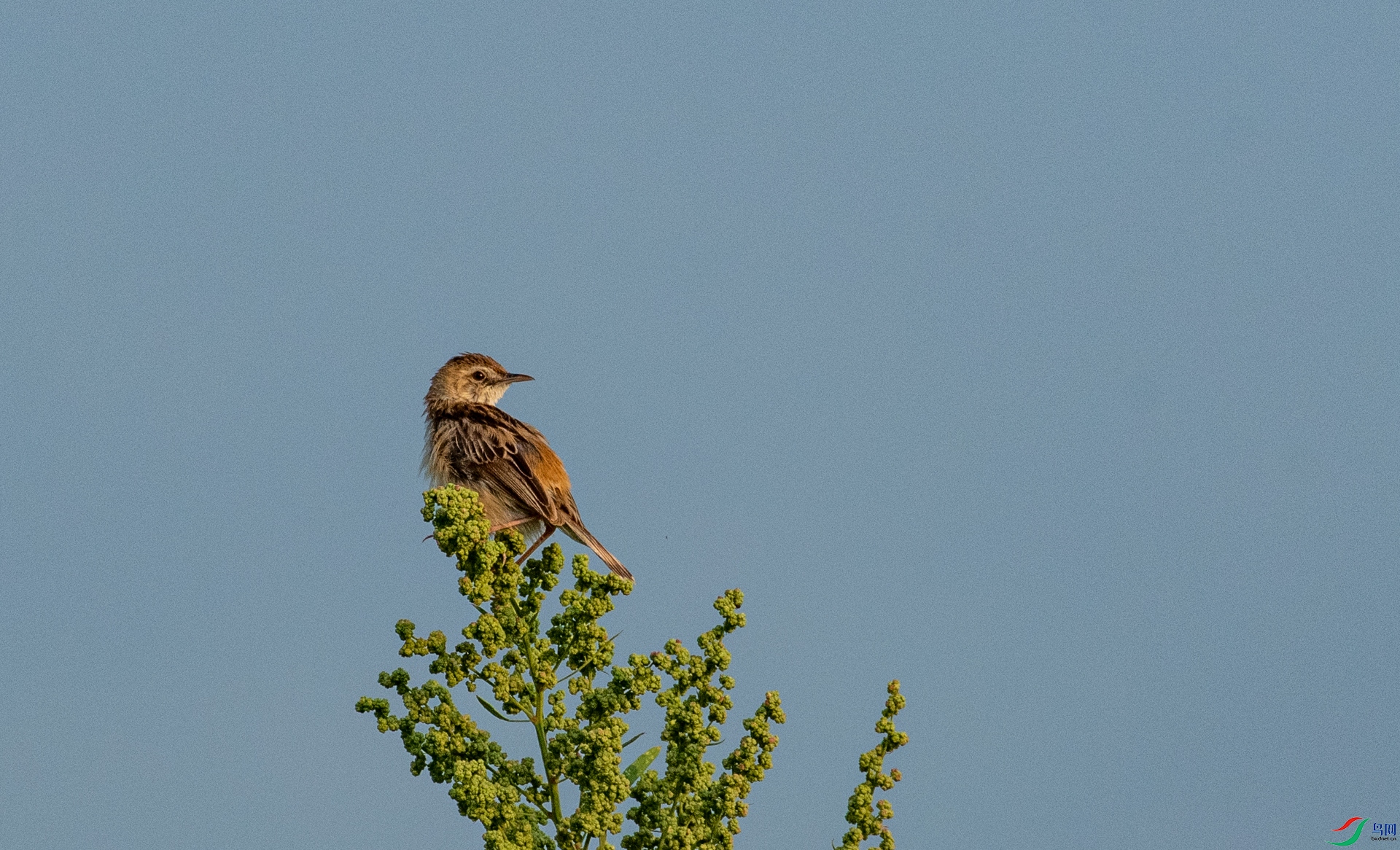 DSC_4026.jpg
