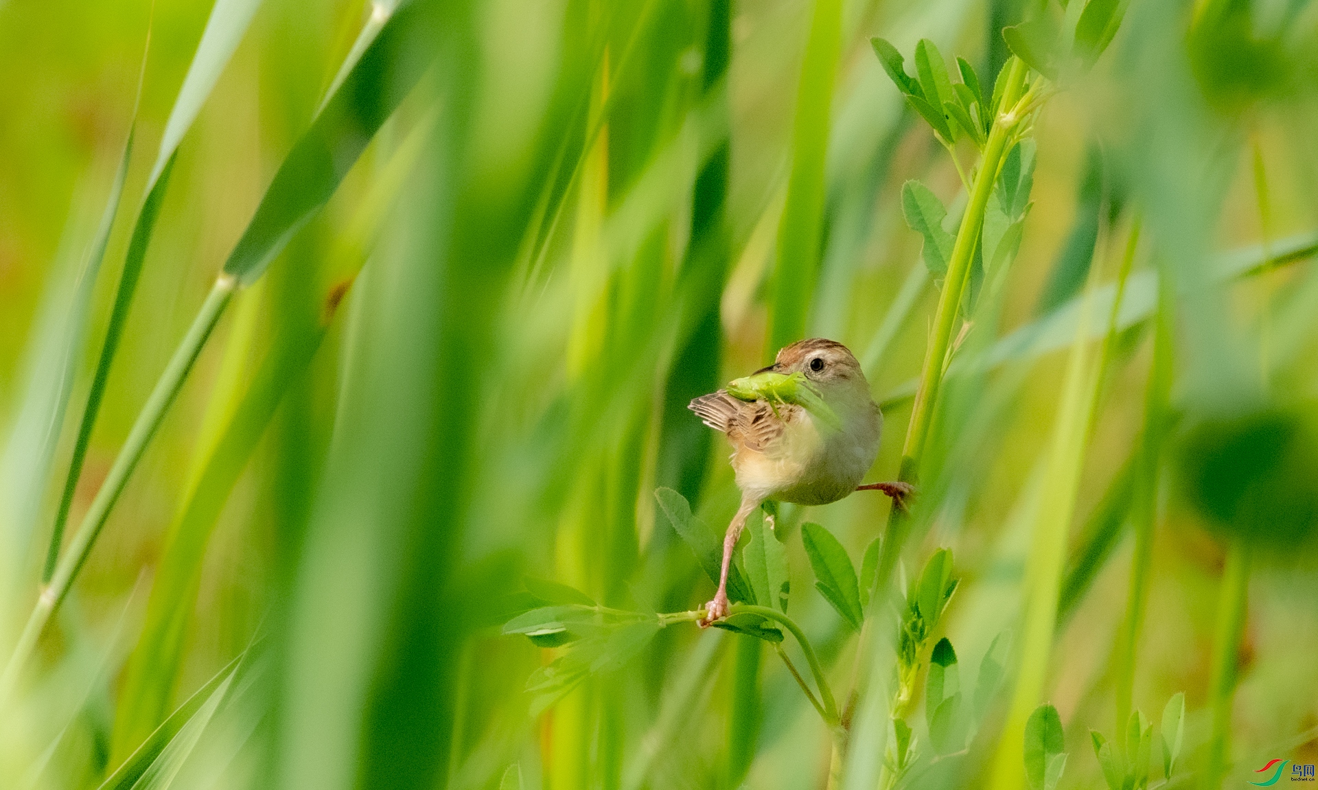 DSC_4467.jpg
