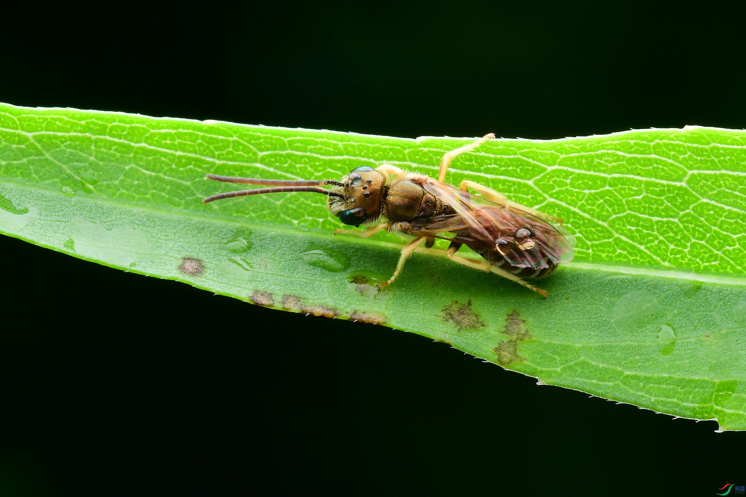 DSC_6260-0.jpg