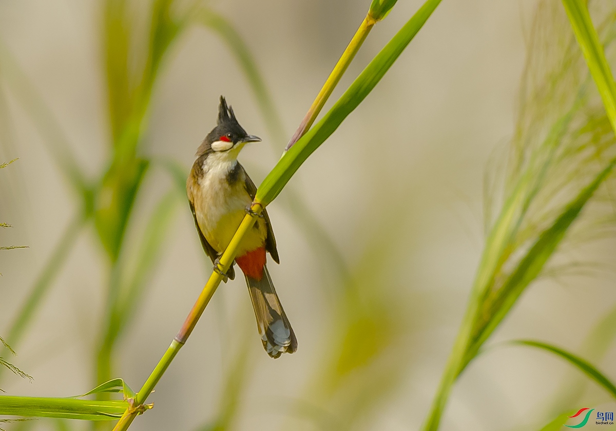 DSC_5865.JPG