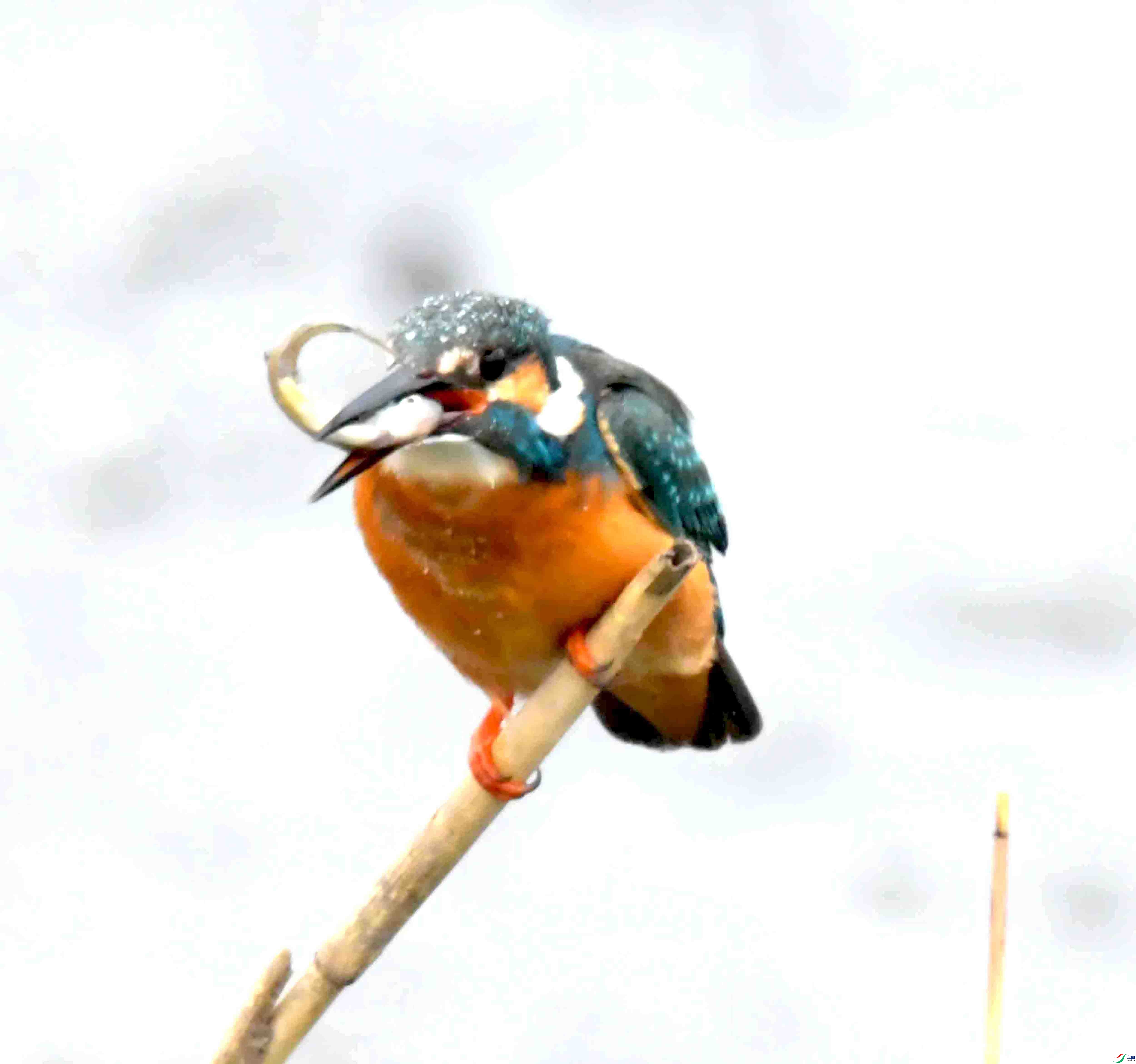 DSC_4414.JPG