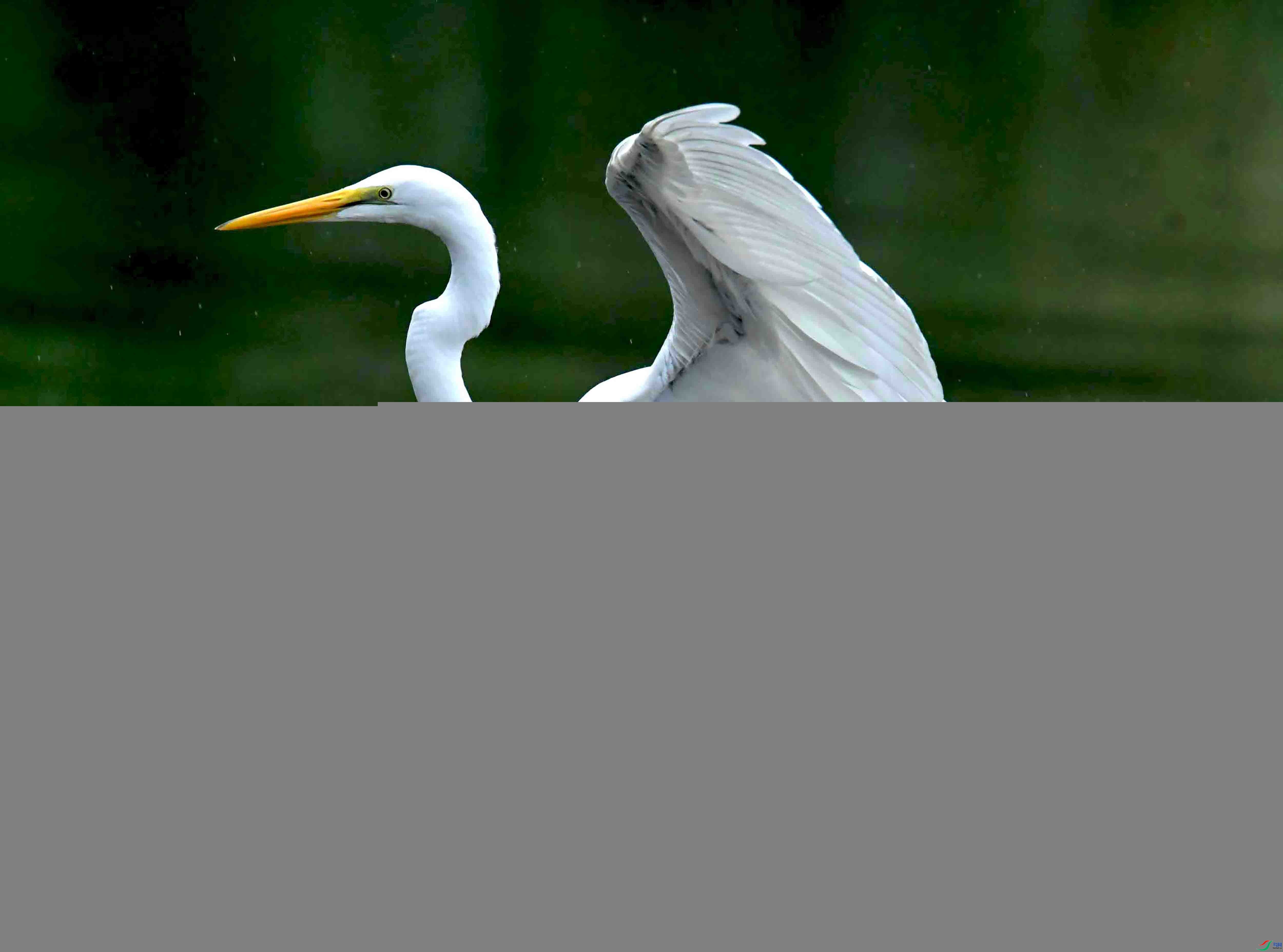 DSC_2245.JPG