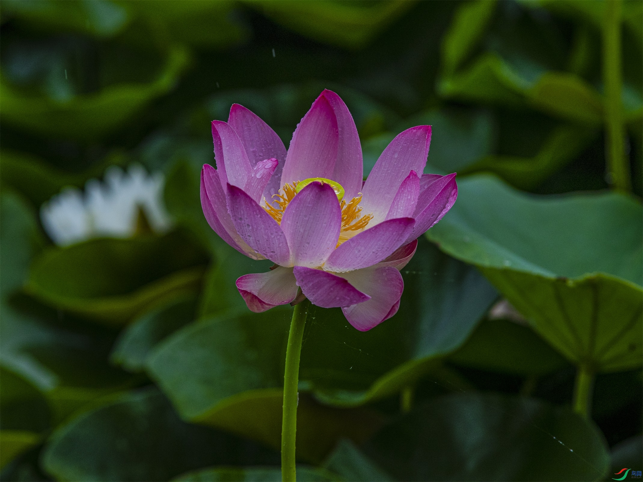 CY4A8783 ����1.jpg