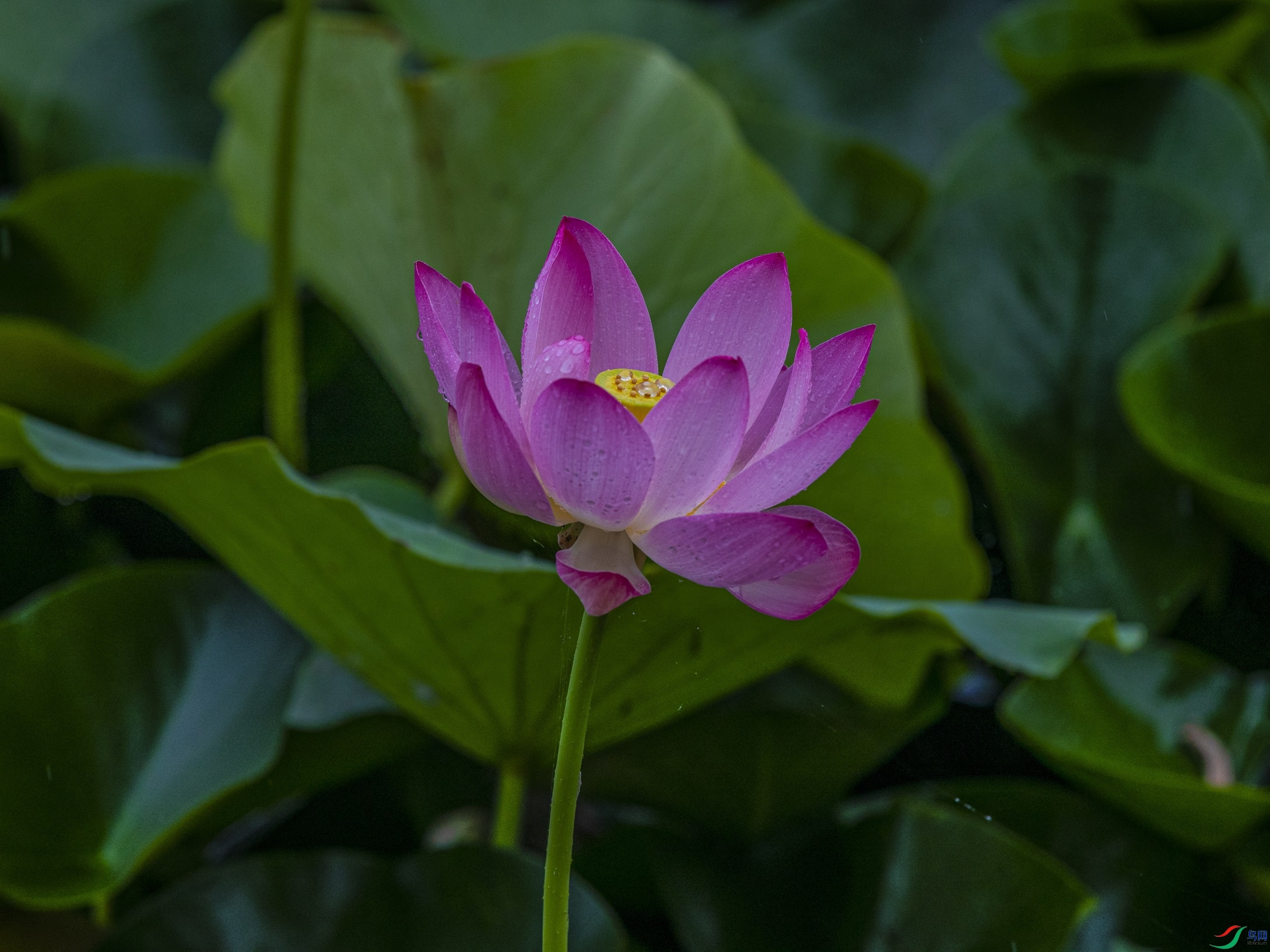 CY4A8784 ����1.jpg