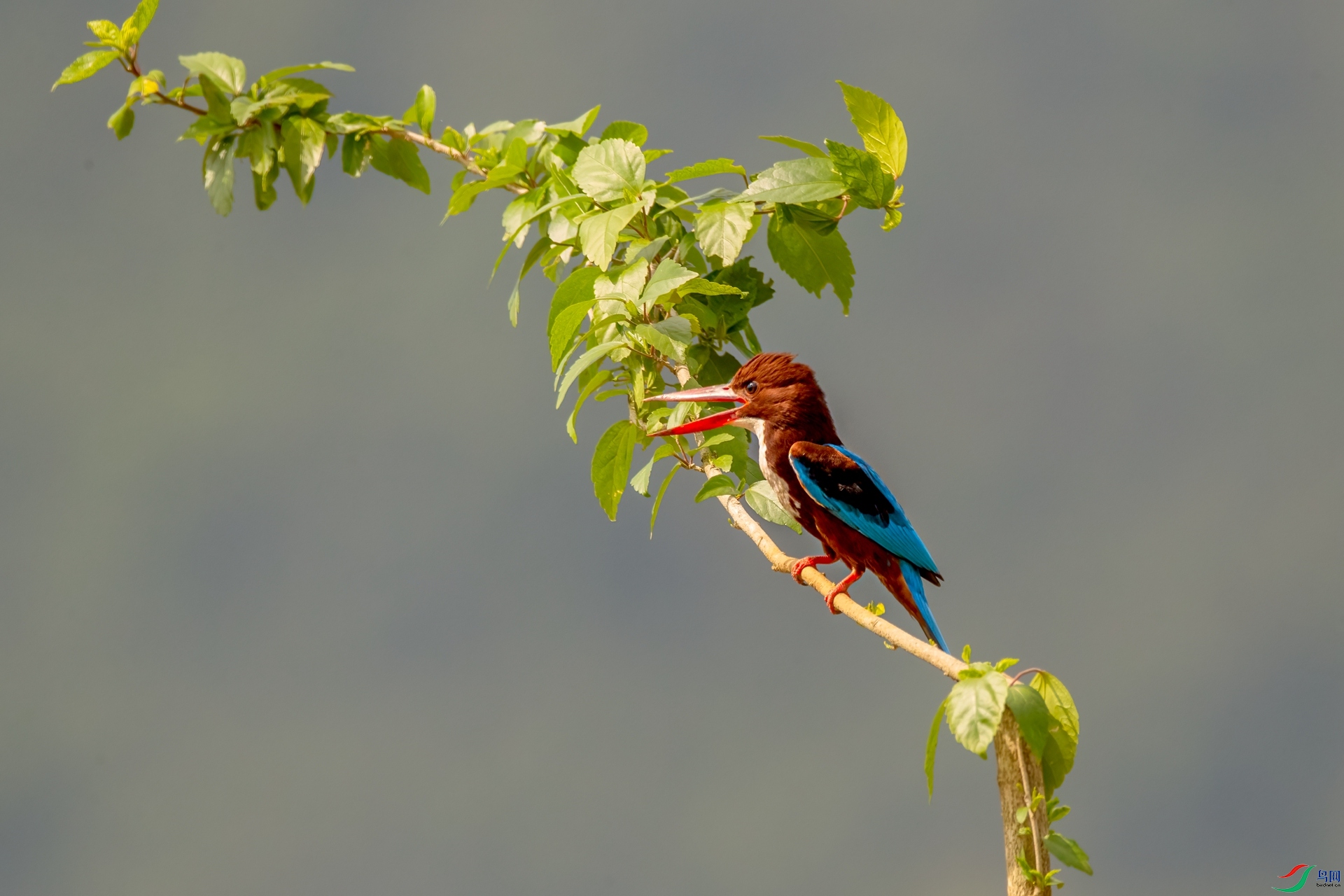 B86I5823 _����.jpg