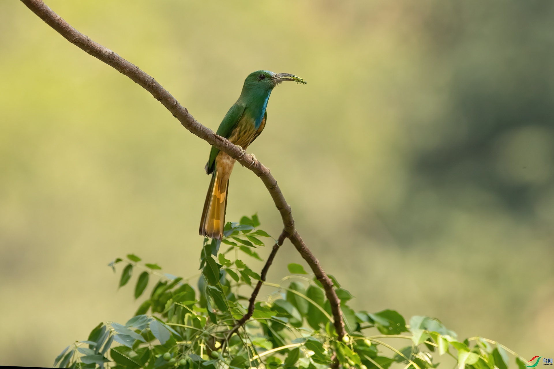 B86I6076 _����.jpg