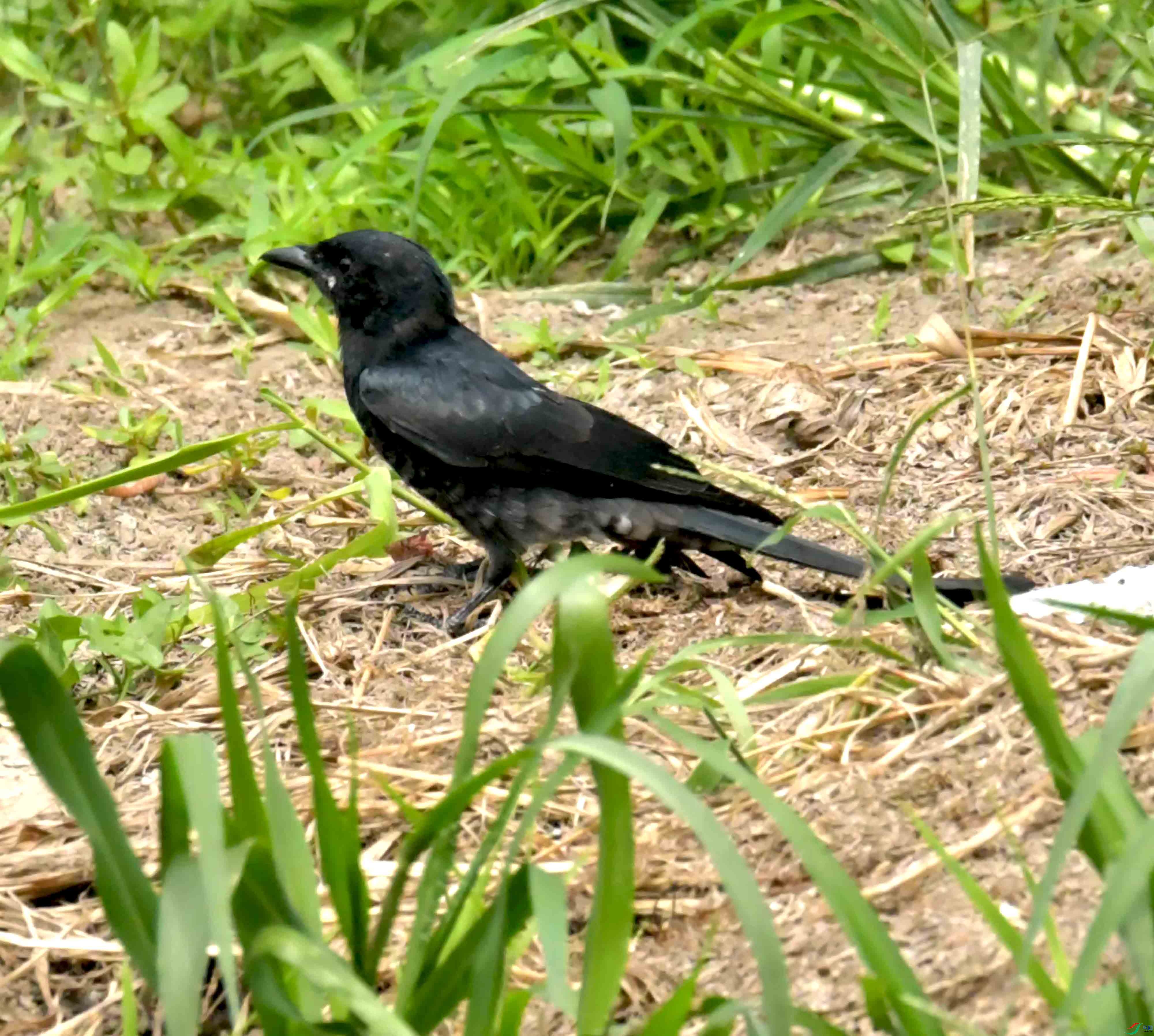 DSC_2552.JPG