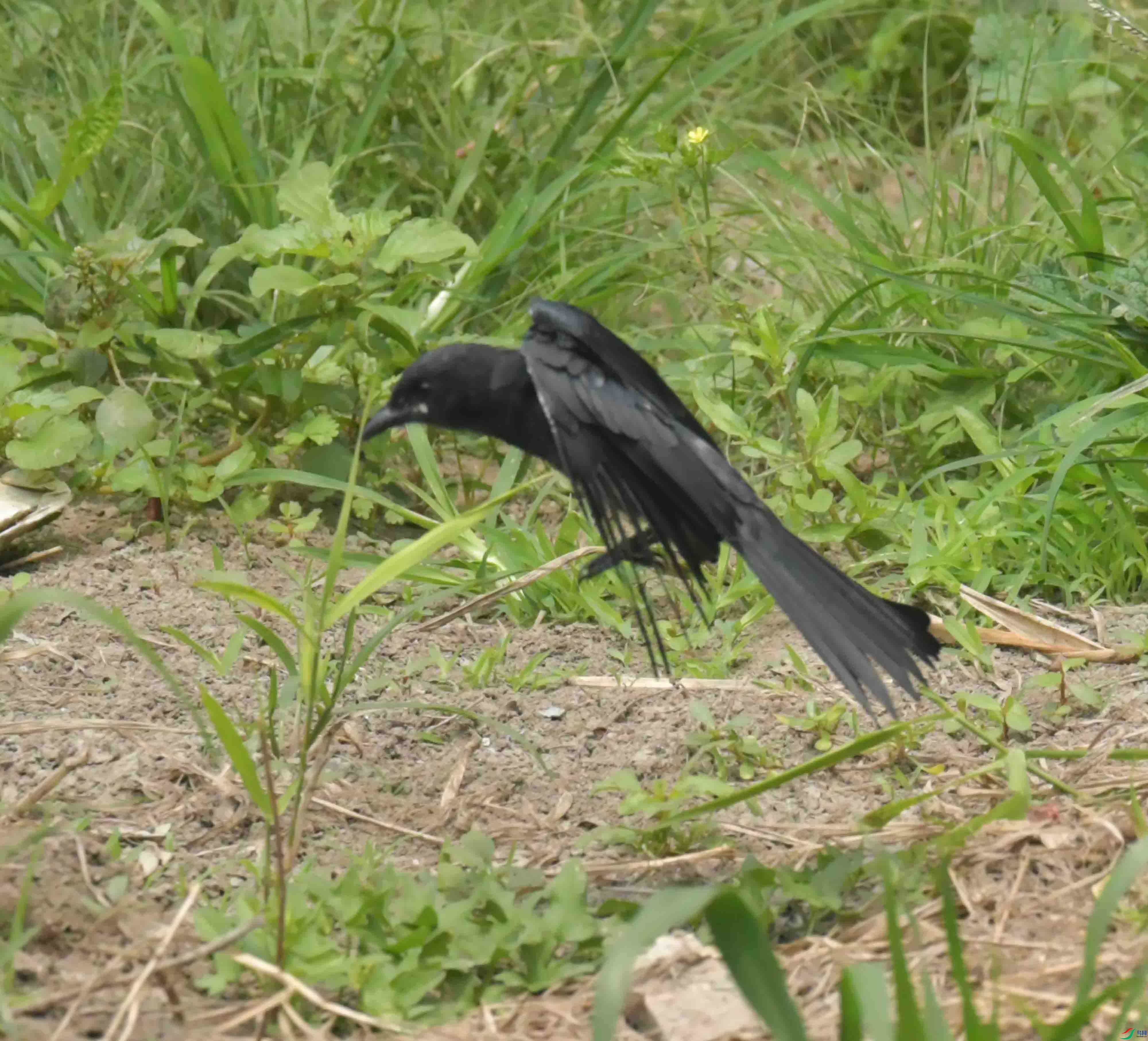 DSC_2553.JPG