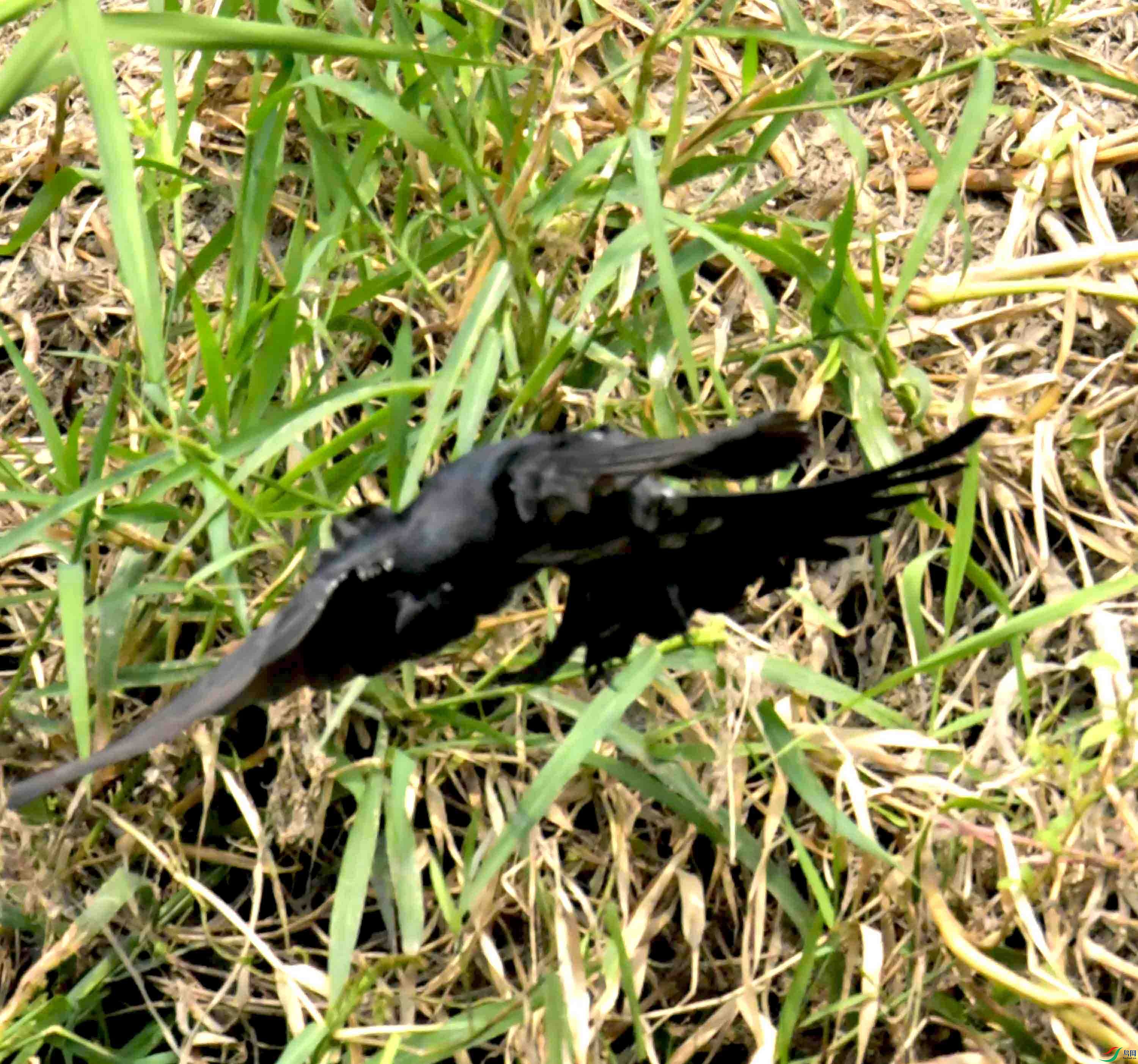 DSC_2560.JPG