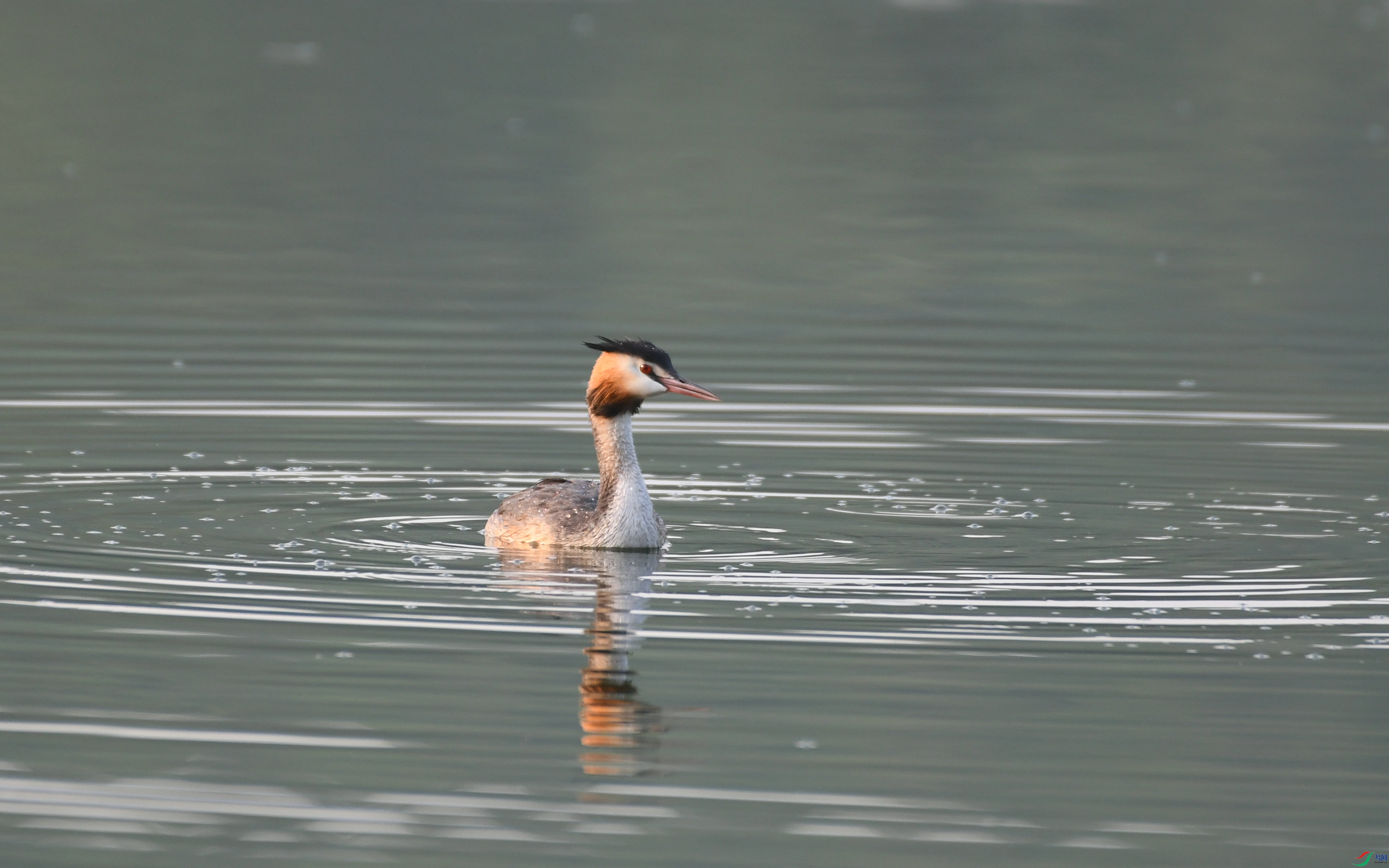 DSC_1952.JPG