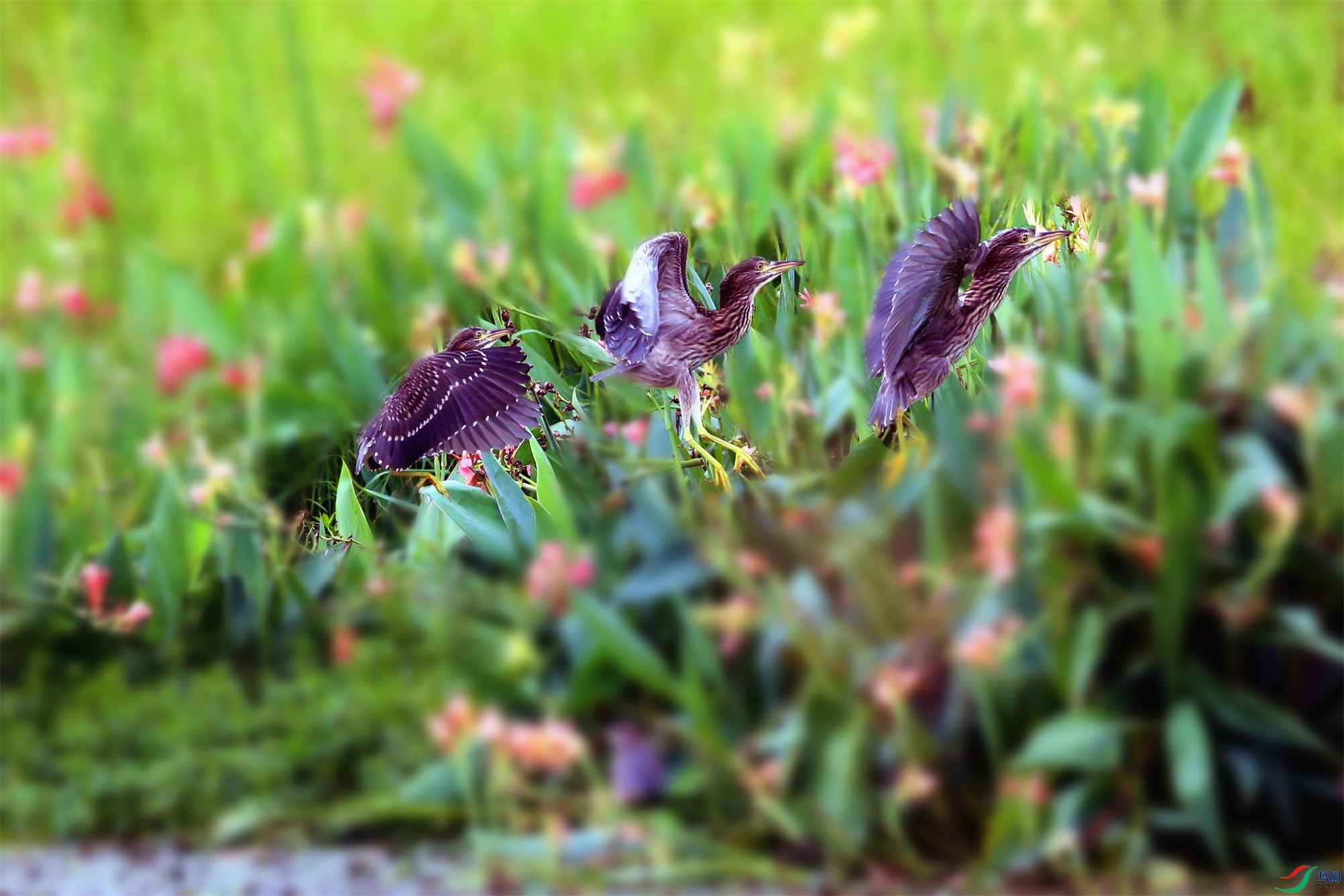 AR6W0803_��ͼ��(1).JPG