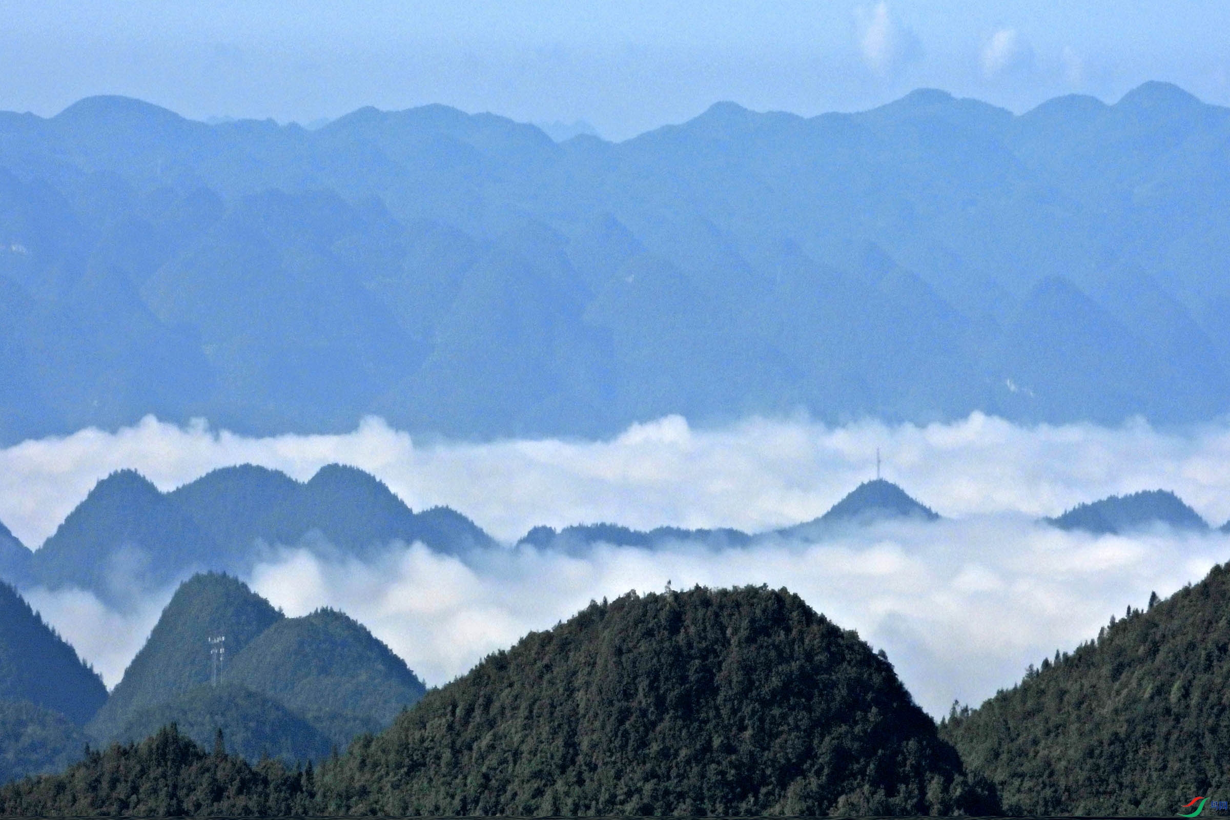 DSCN7820.jpg