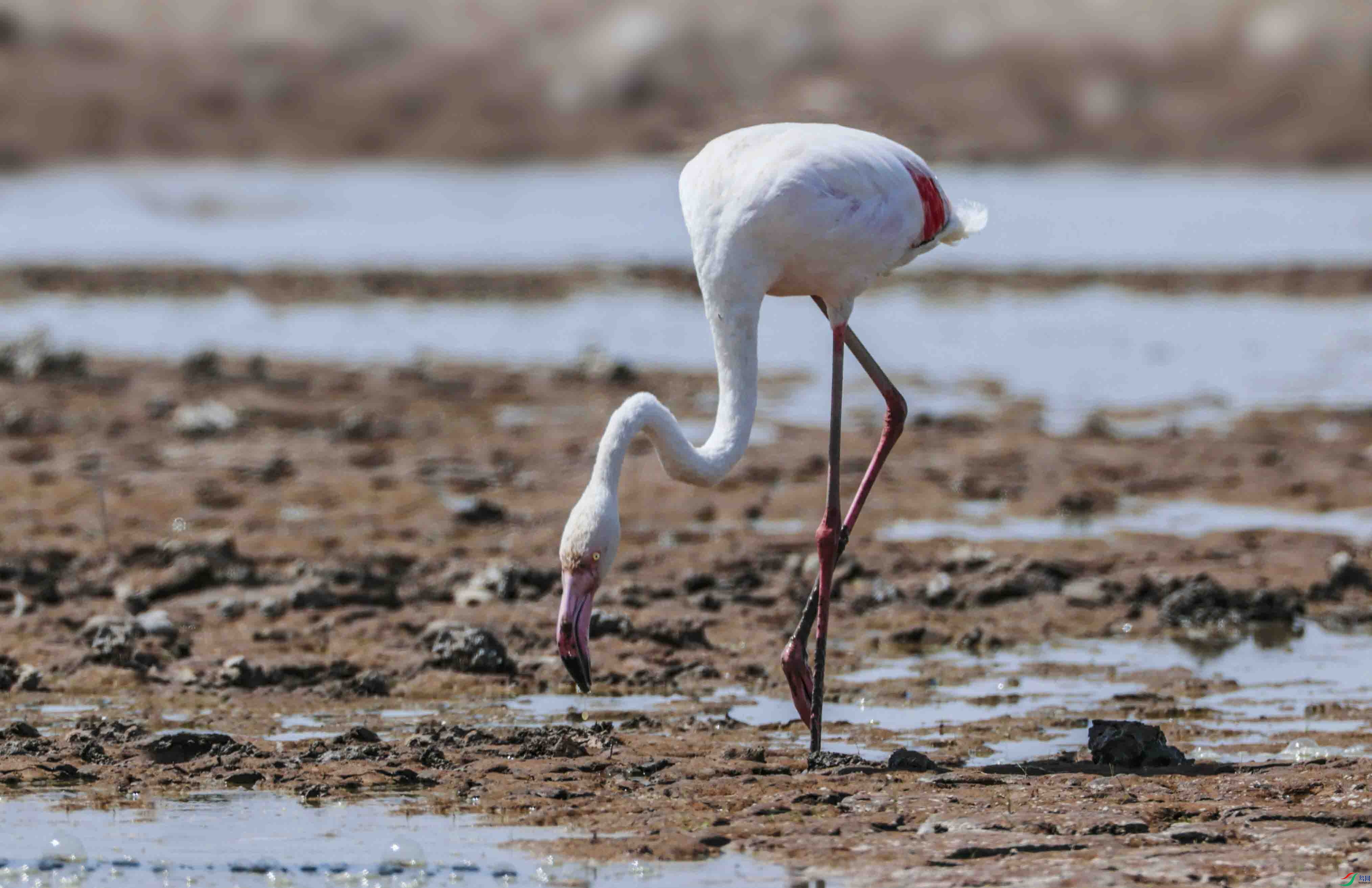 ��Ȼ���������8 ����.jpg