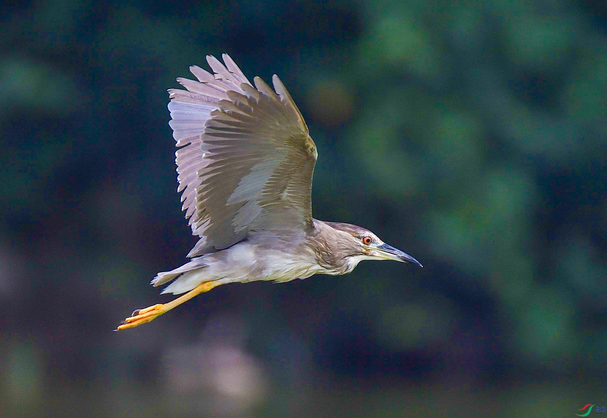 DSC_5219.jpg