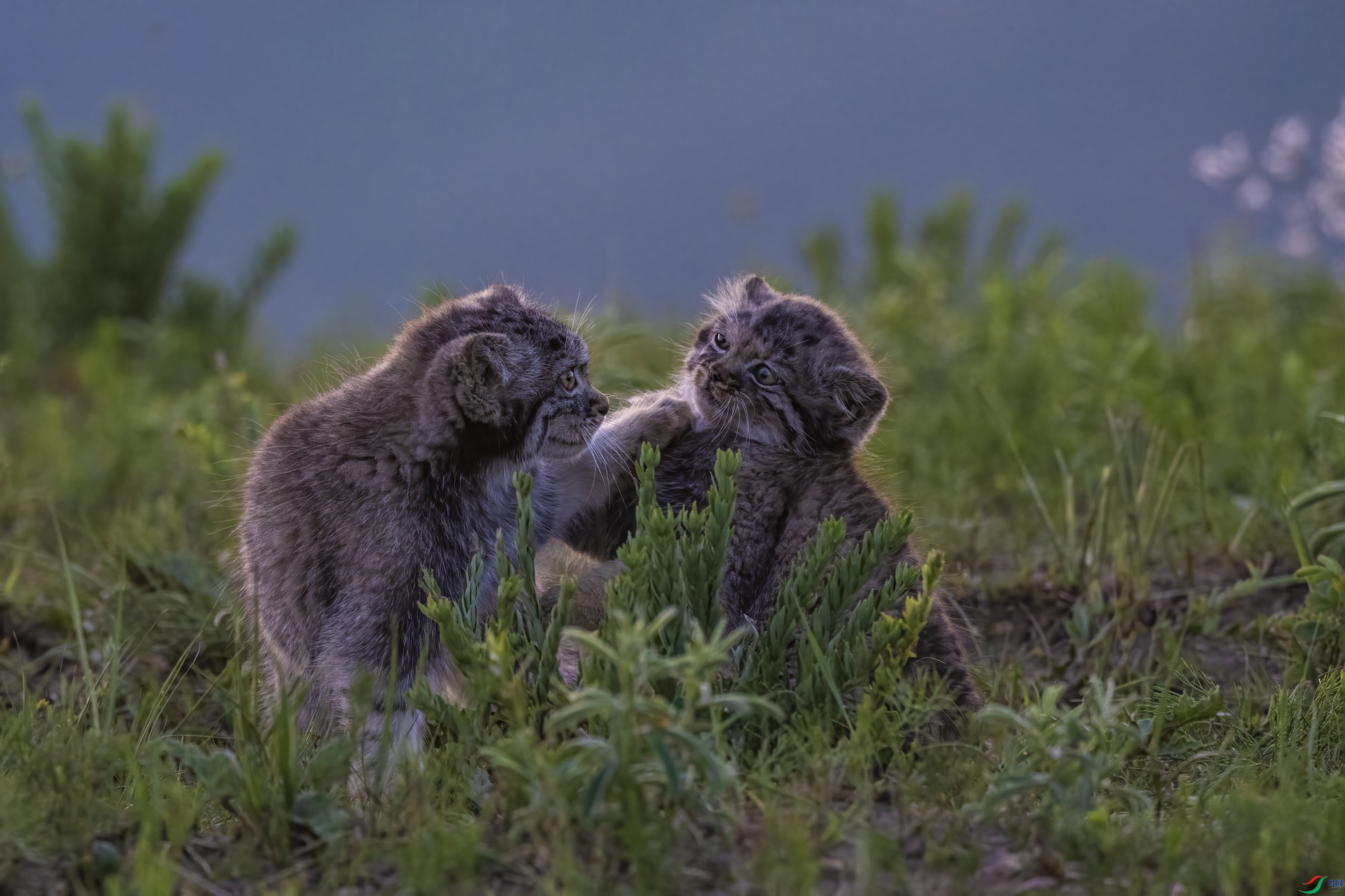 _DSC4728���ʴ� ����(С��.jpg