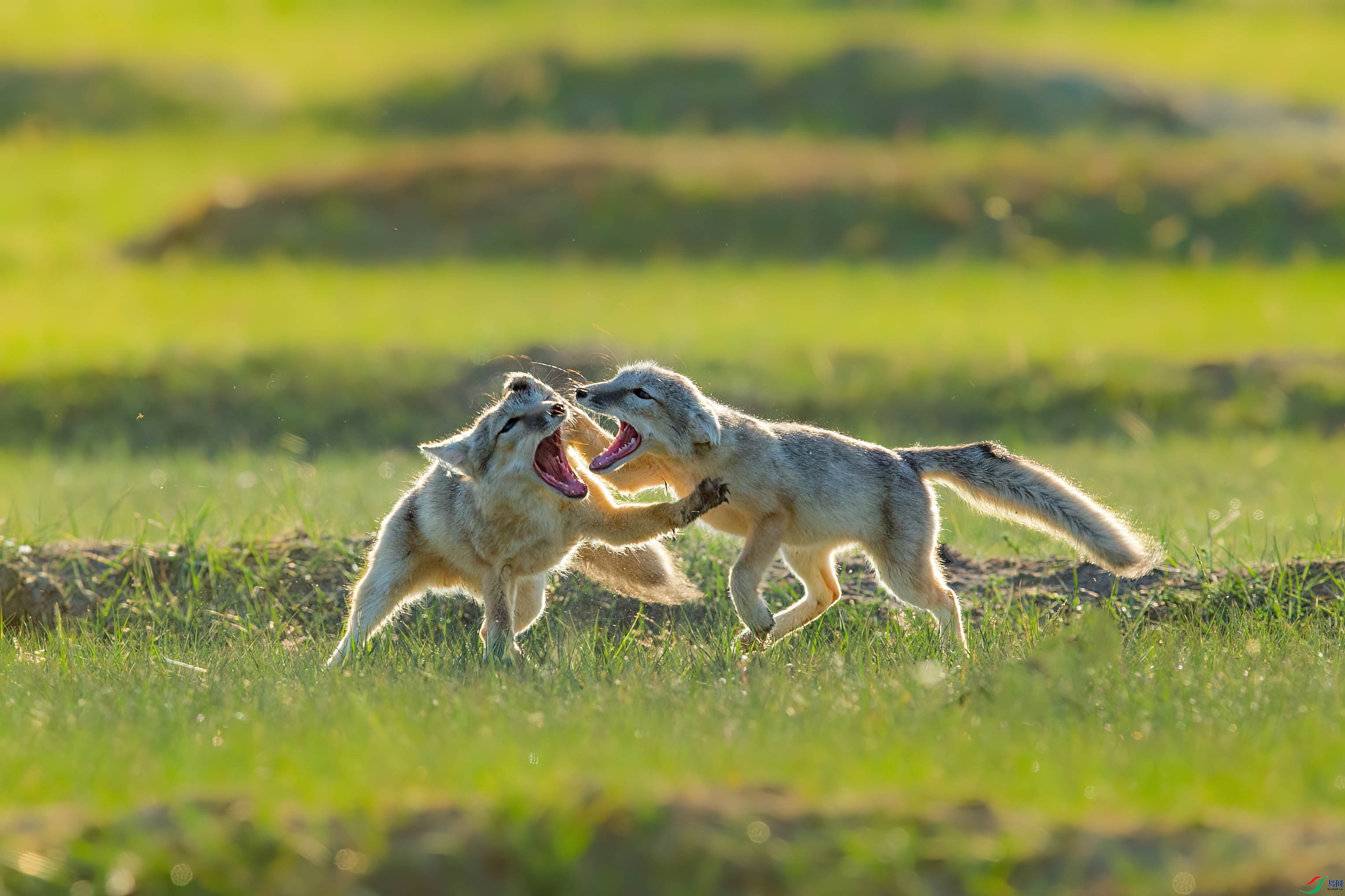 AF9Y4446 ����_1.jpg