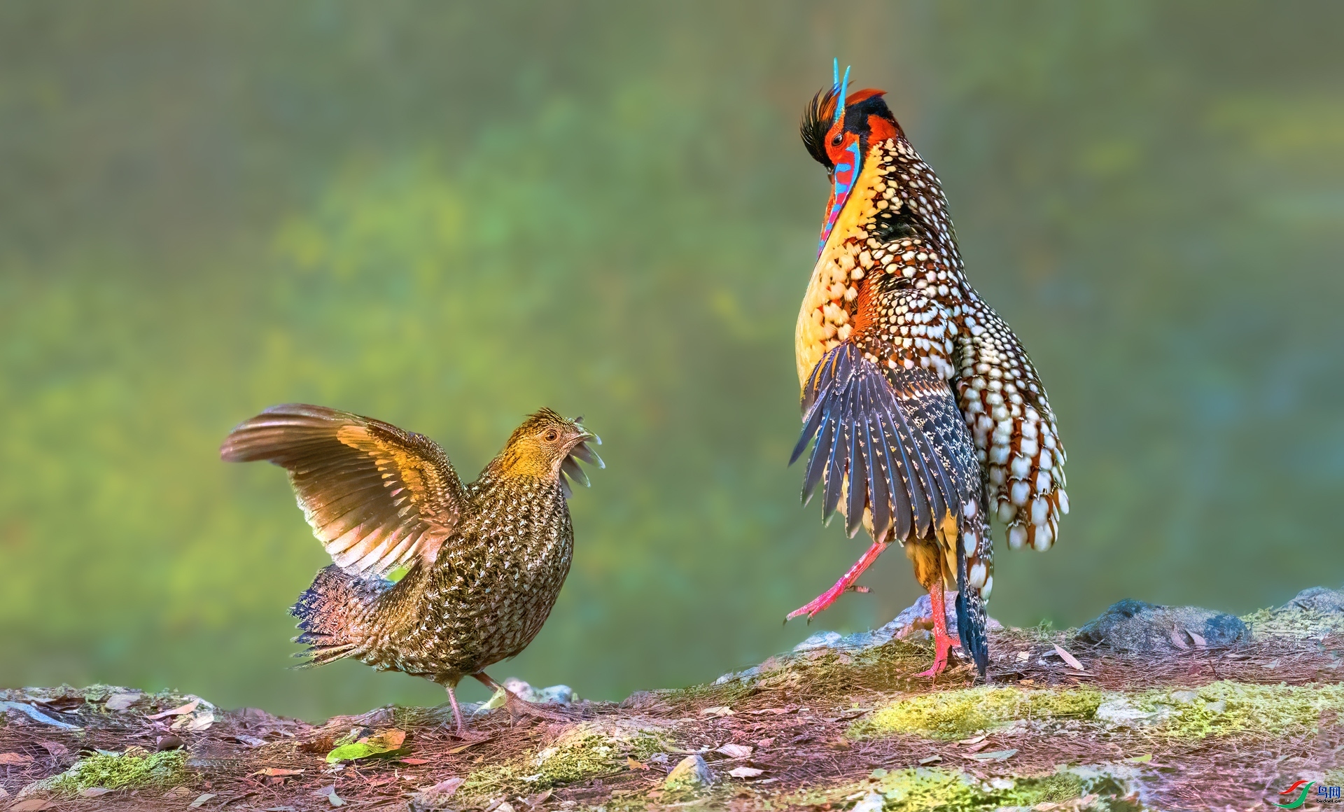 yujifeng   ��Լ�ڻƻ���.jpg