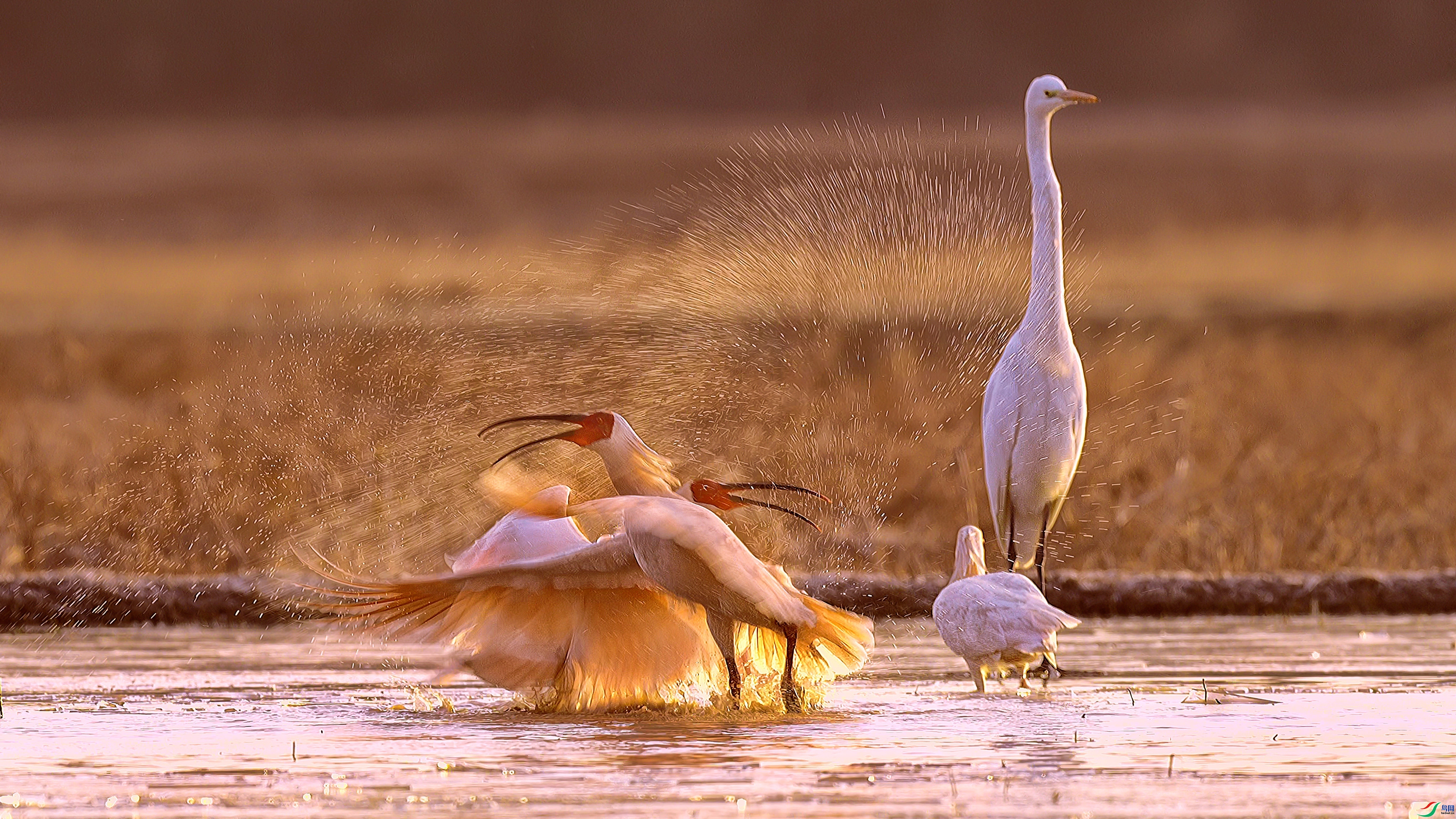 ɳ��.  ���ܸ���.jpg