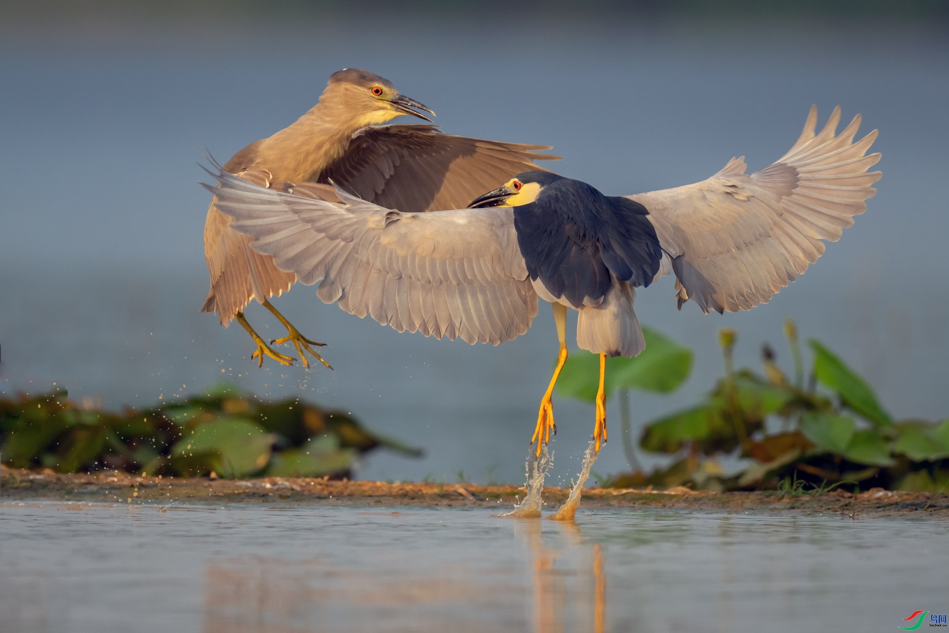 ����  Χ��.jpg