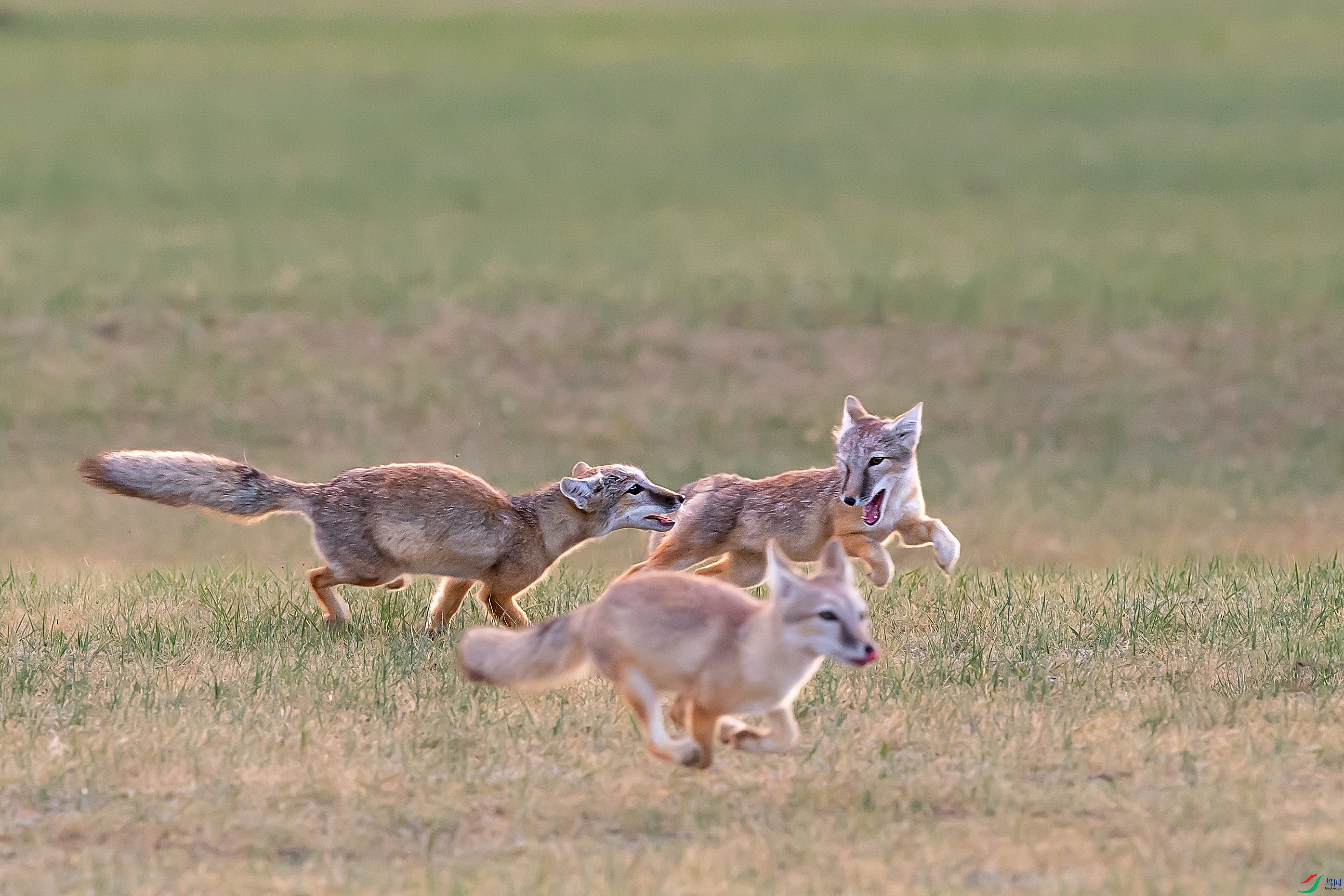 DSC_1760.jpg