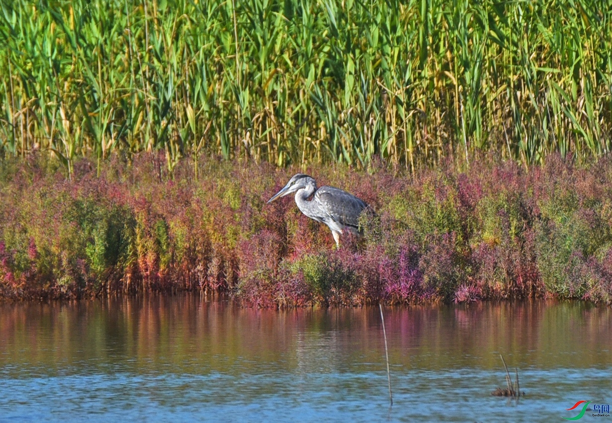 DSC_6259.jpg