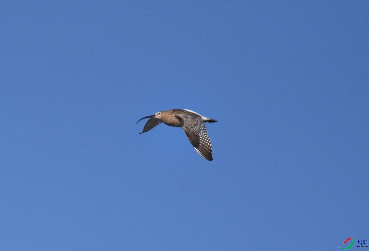 DSC_3099ff.jpg