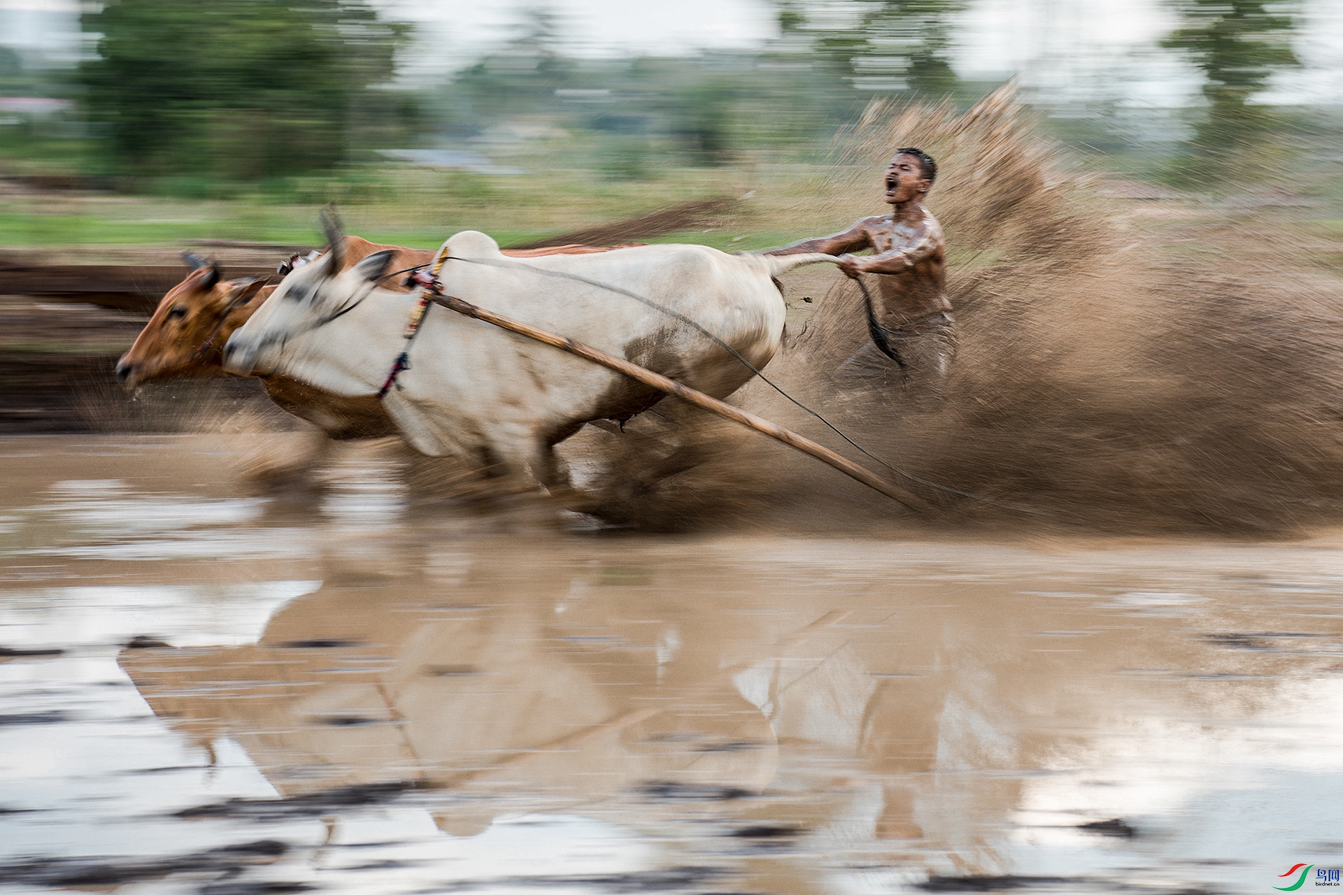 �Գ��� ����ţ��F�飨�˶� �����飩1   2017������ӡ�ᡣ1.jpg
