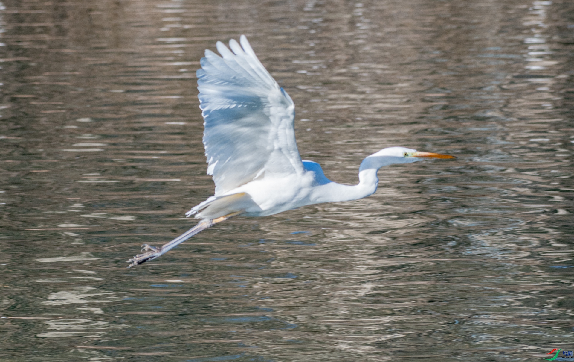 DSC_7555.jpg