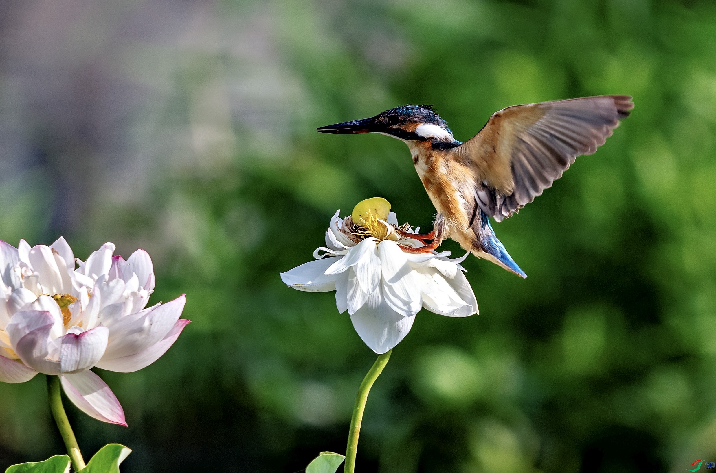 DSC_5196 ����_PerfectlyClear.jpg