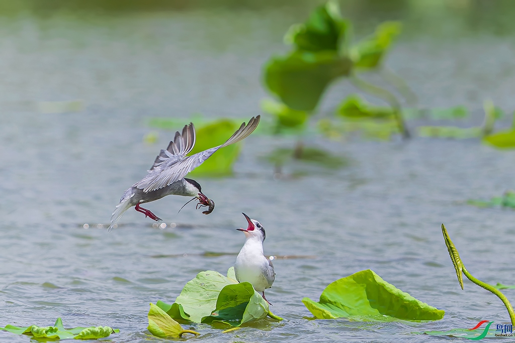 sdws230729 (1142)_DxO.jpg