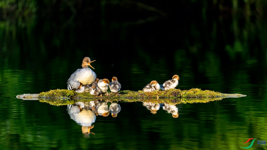 jlmjR230605 (209)_DxO.jpg