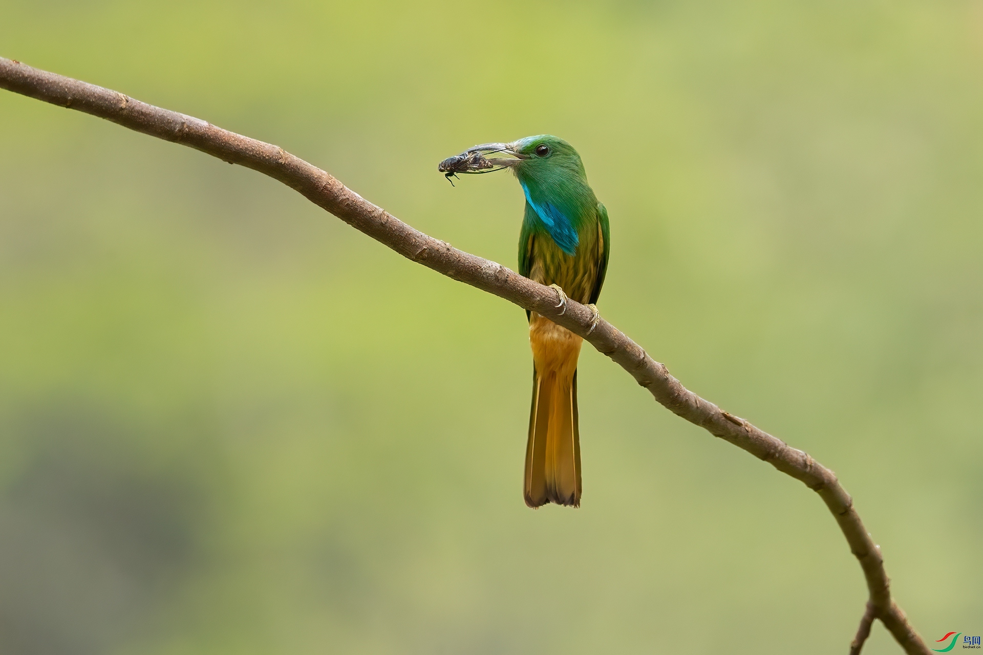 B86I5930 _����.jpg