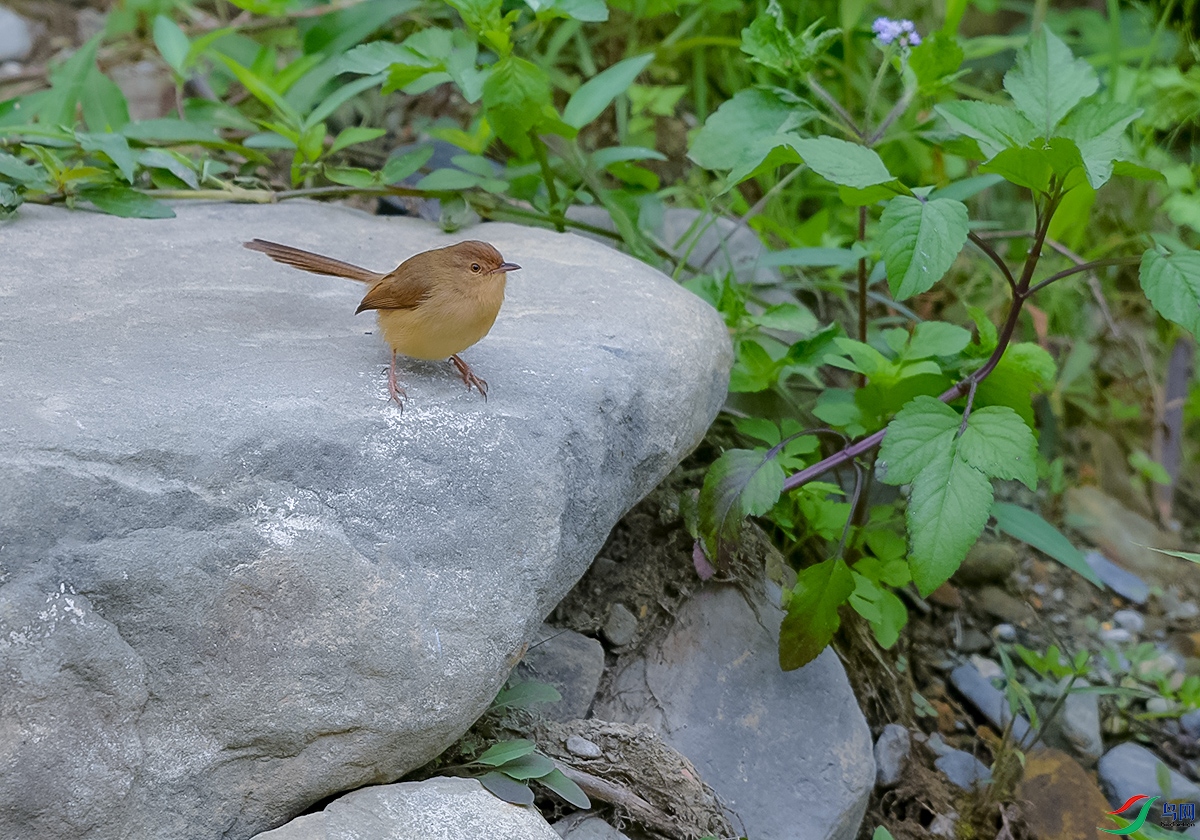 DSC_3861.JPG