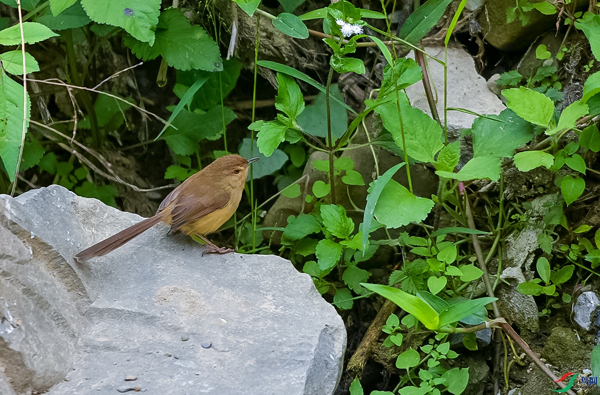 DSC_3873.JPG