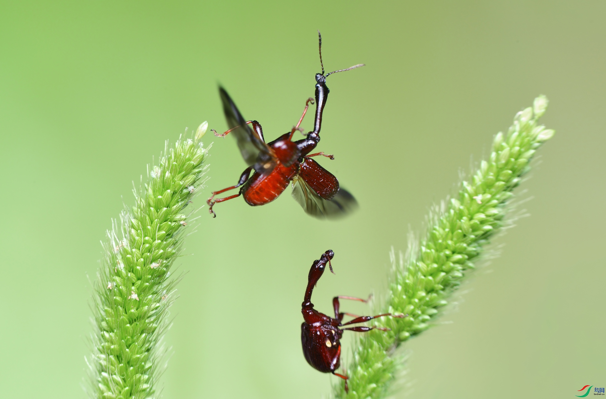 DSC_4220 ����.jpg