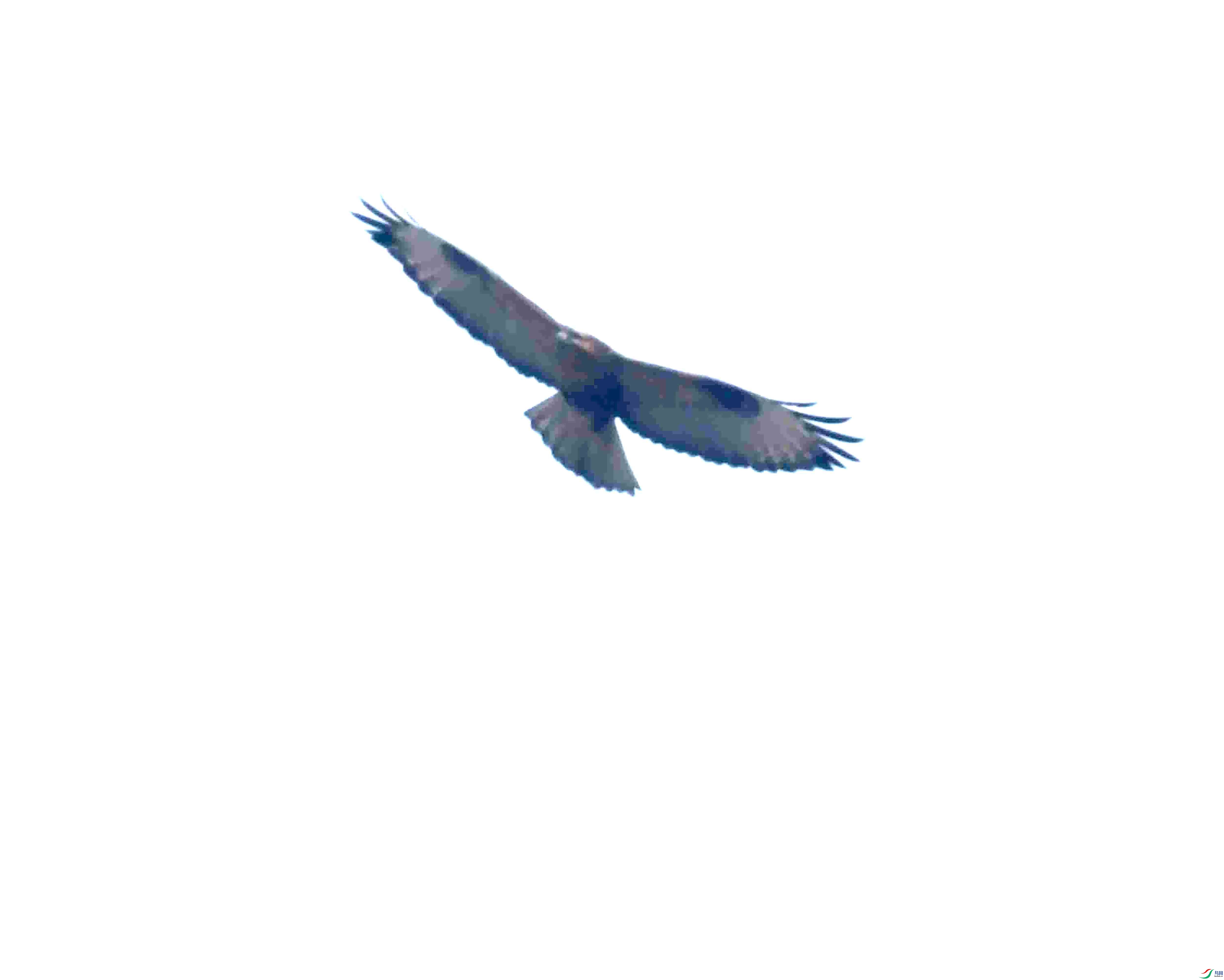 DSC_1251.JPG