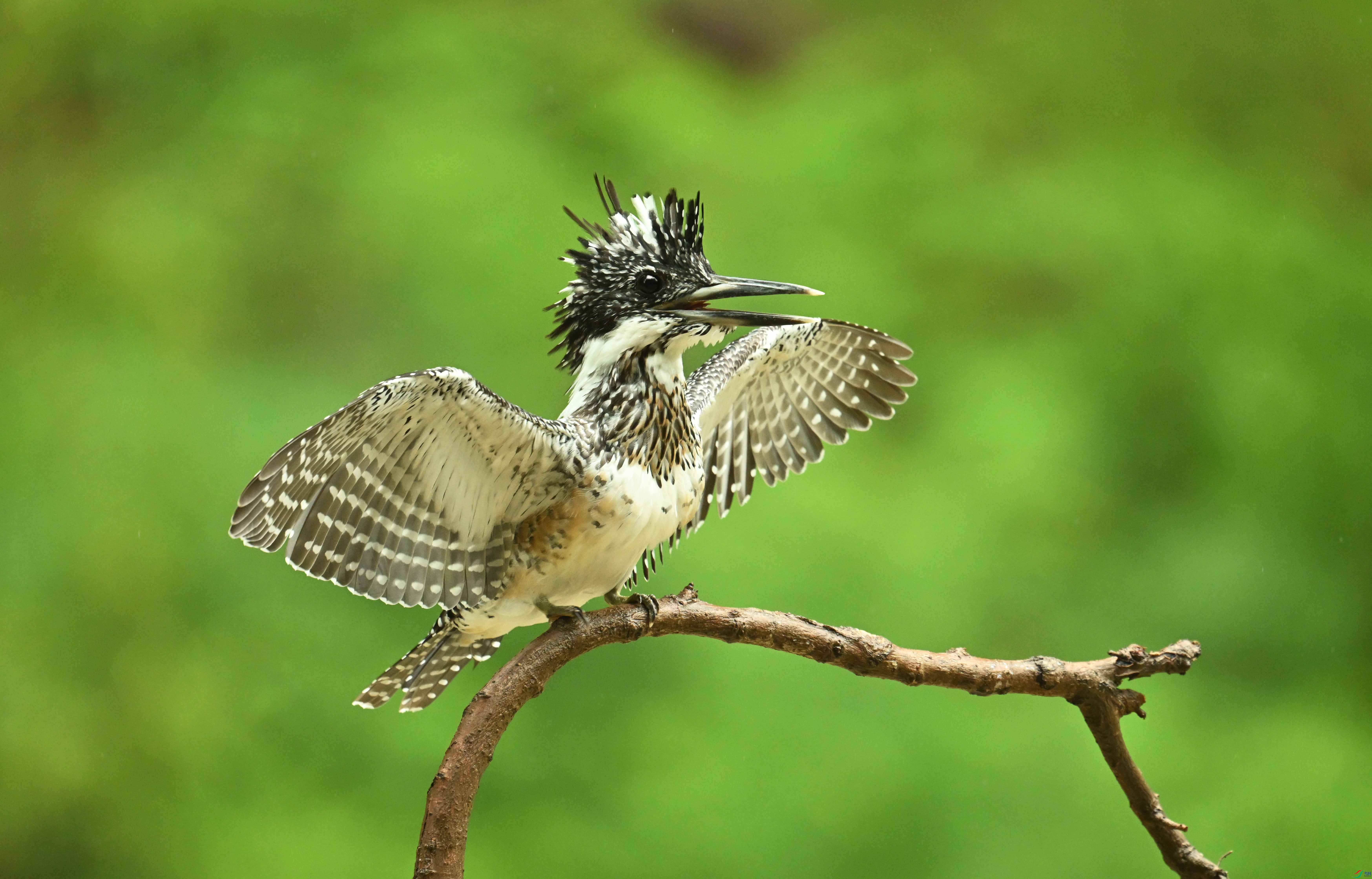 DSC_5660 ����.jpg